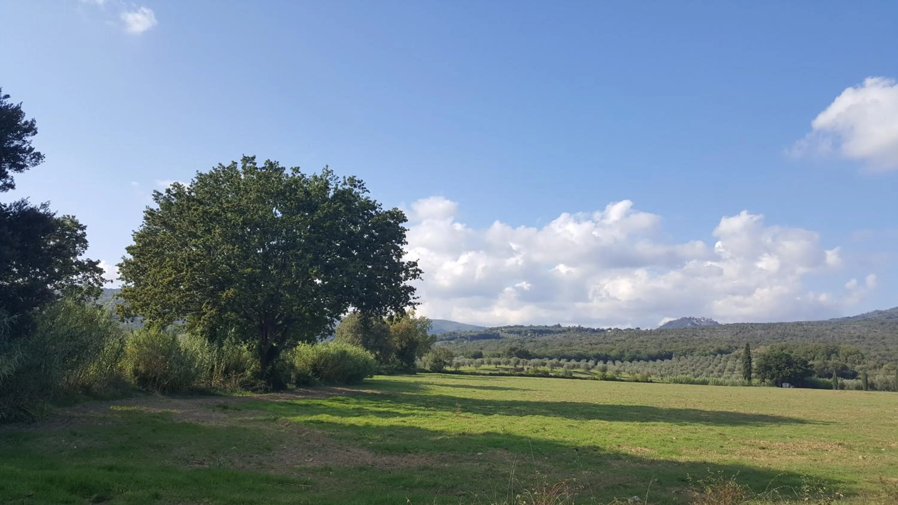 Day in Locanda B&B Momo