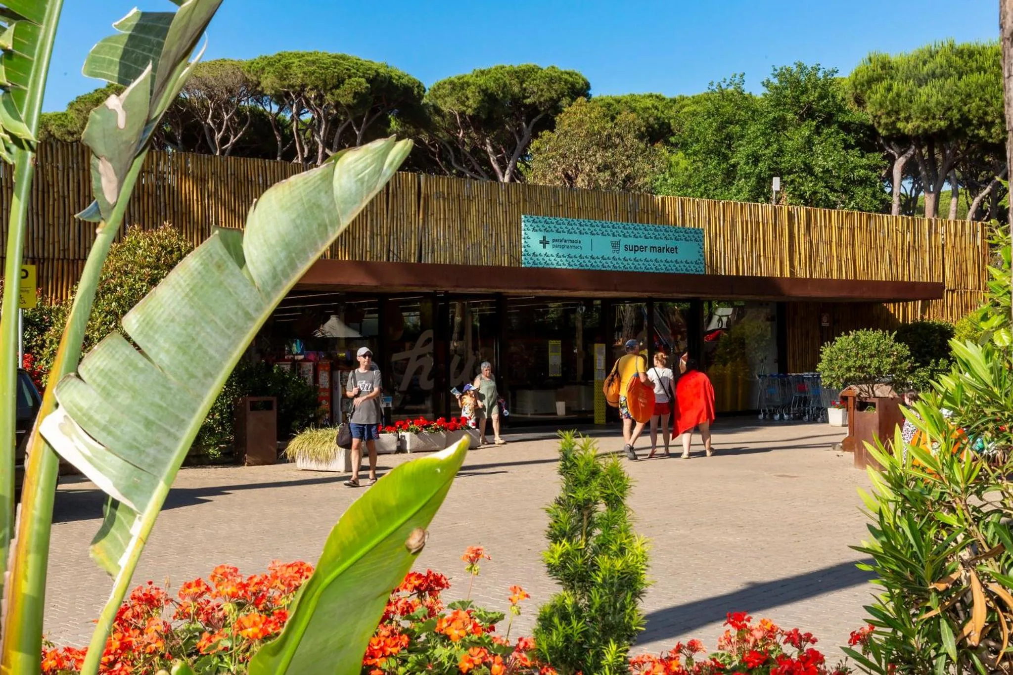 Supermarket/grocery shop in hu Park Albatros village