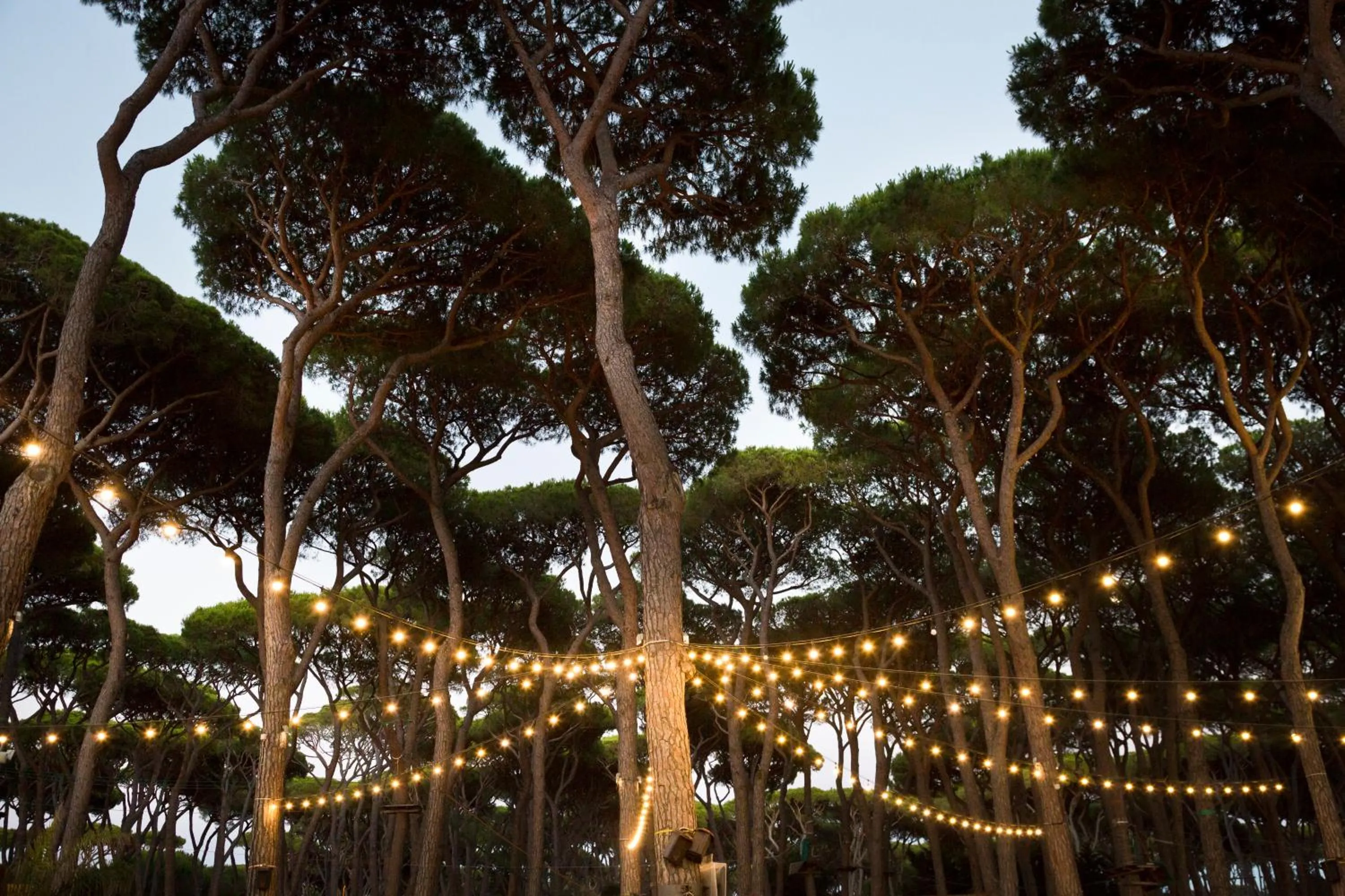 On site in hu Park Albatros village