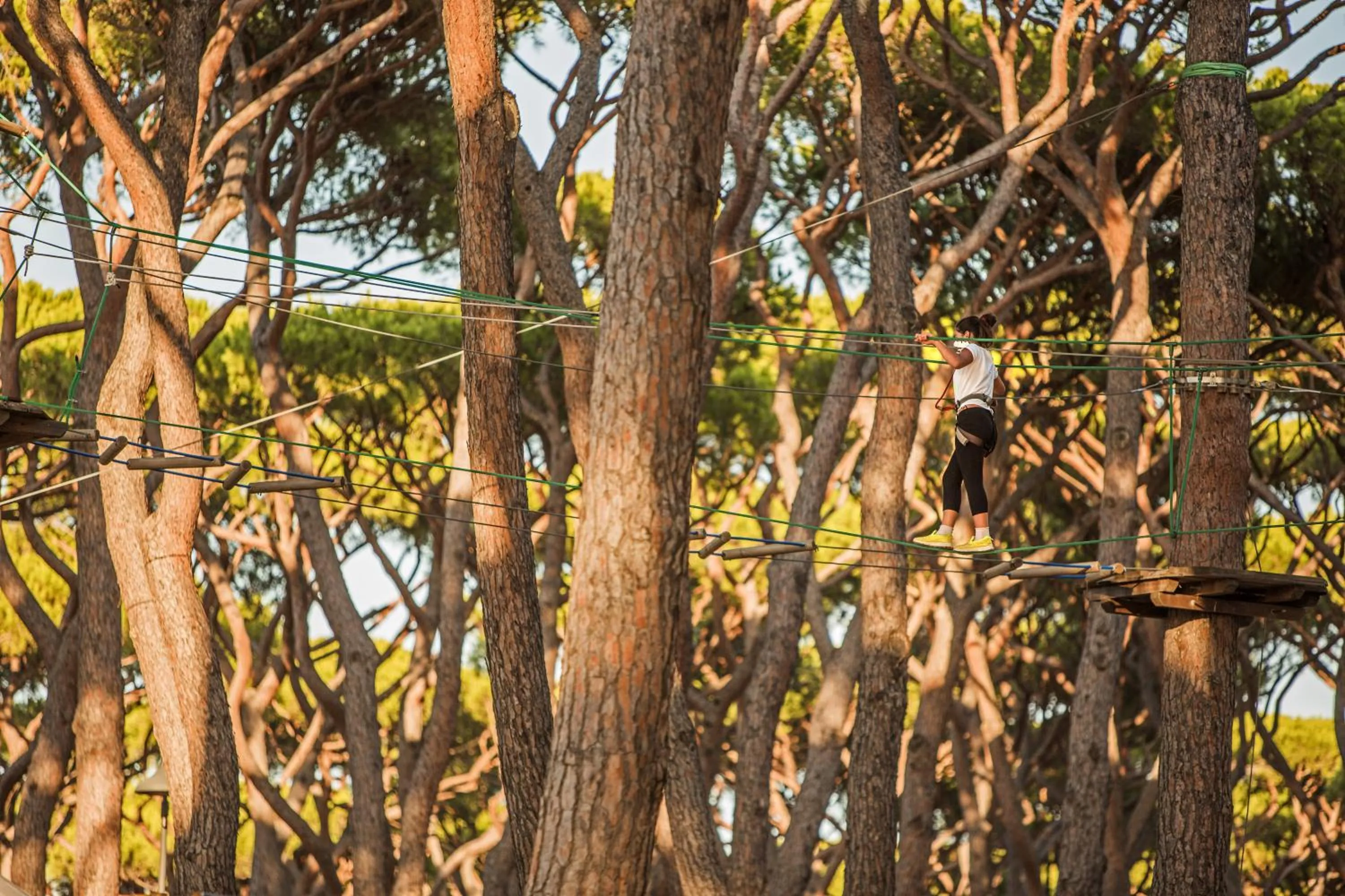 Sports in hu Park Albatros village