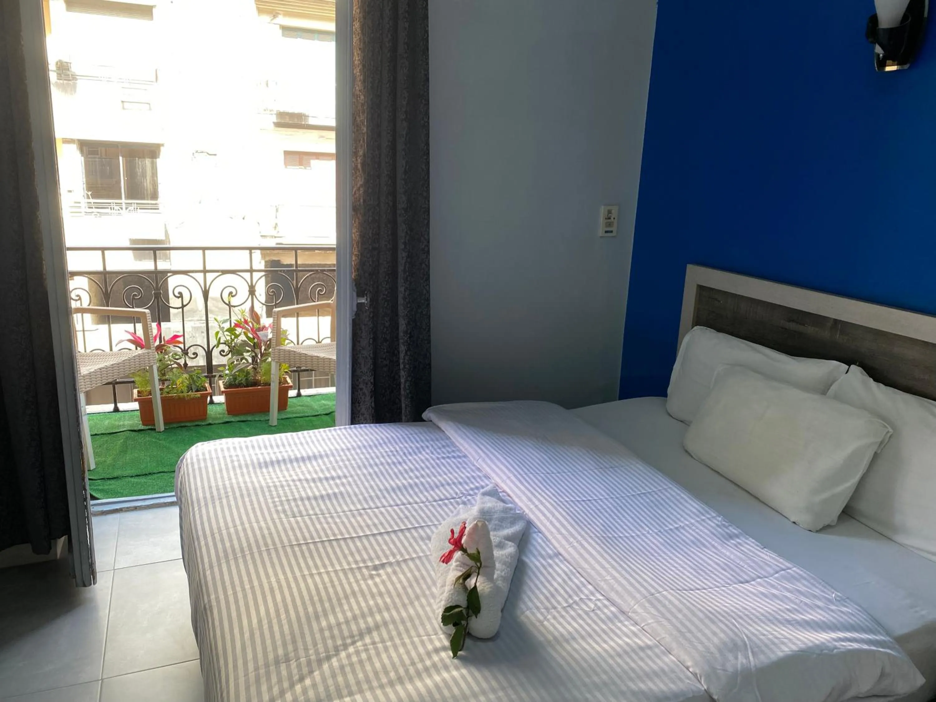 View (from property/room), Bed in The Australian Hostel