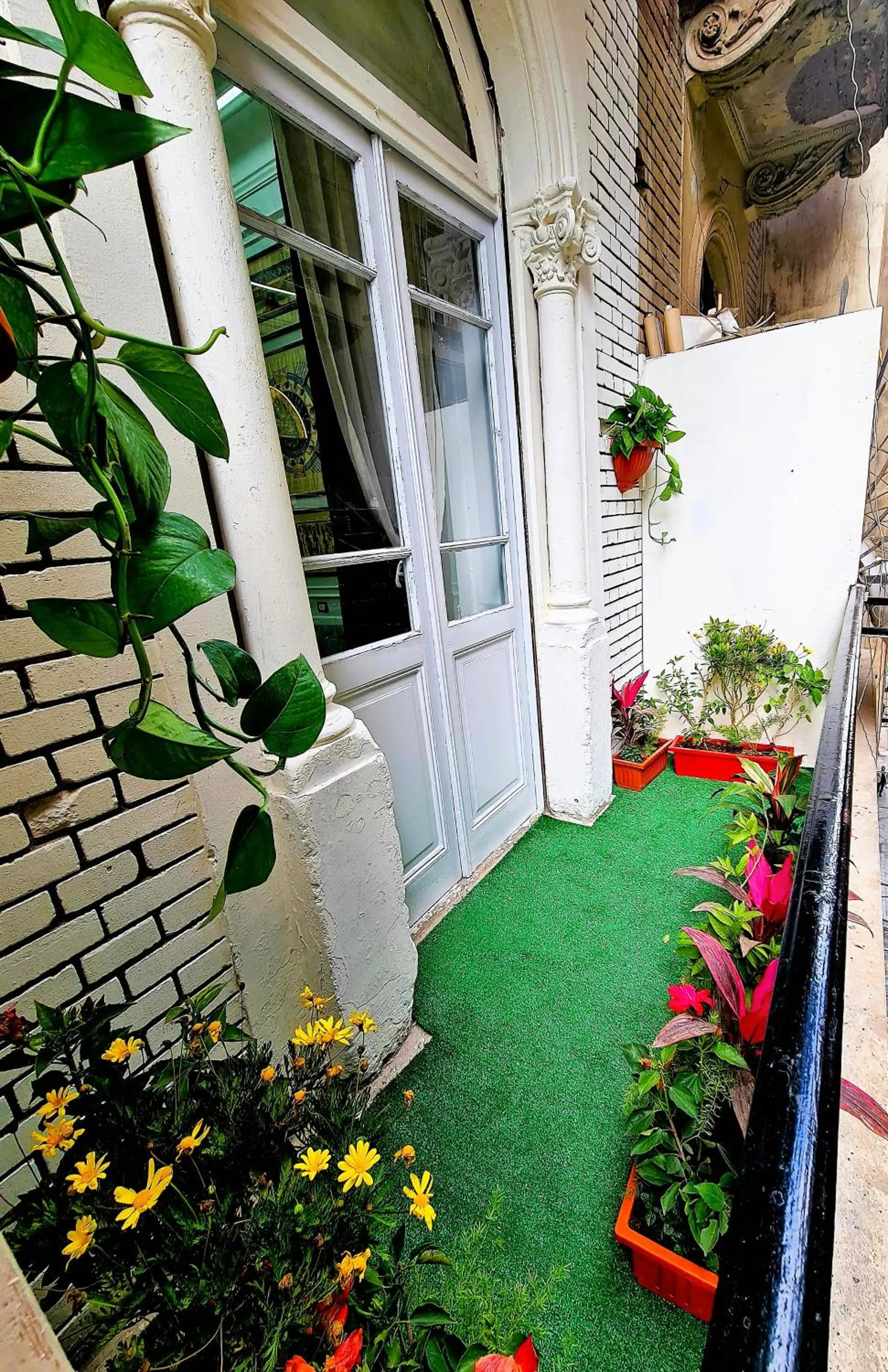 Spring in The Australian Hostel