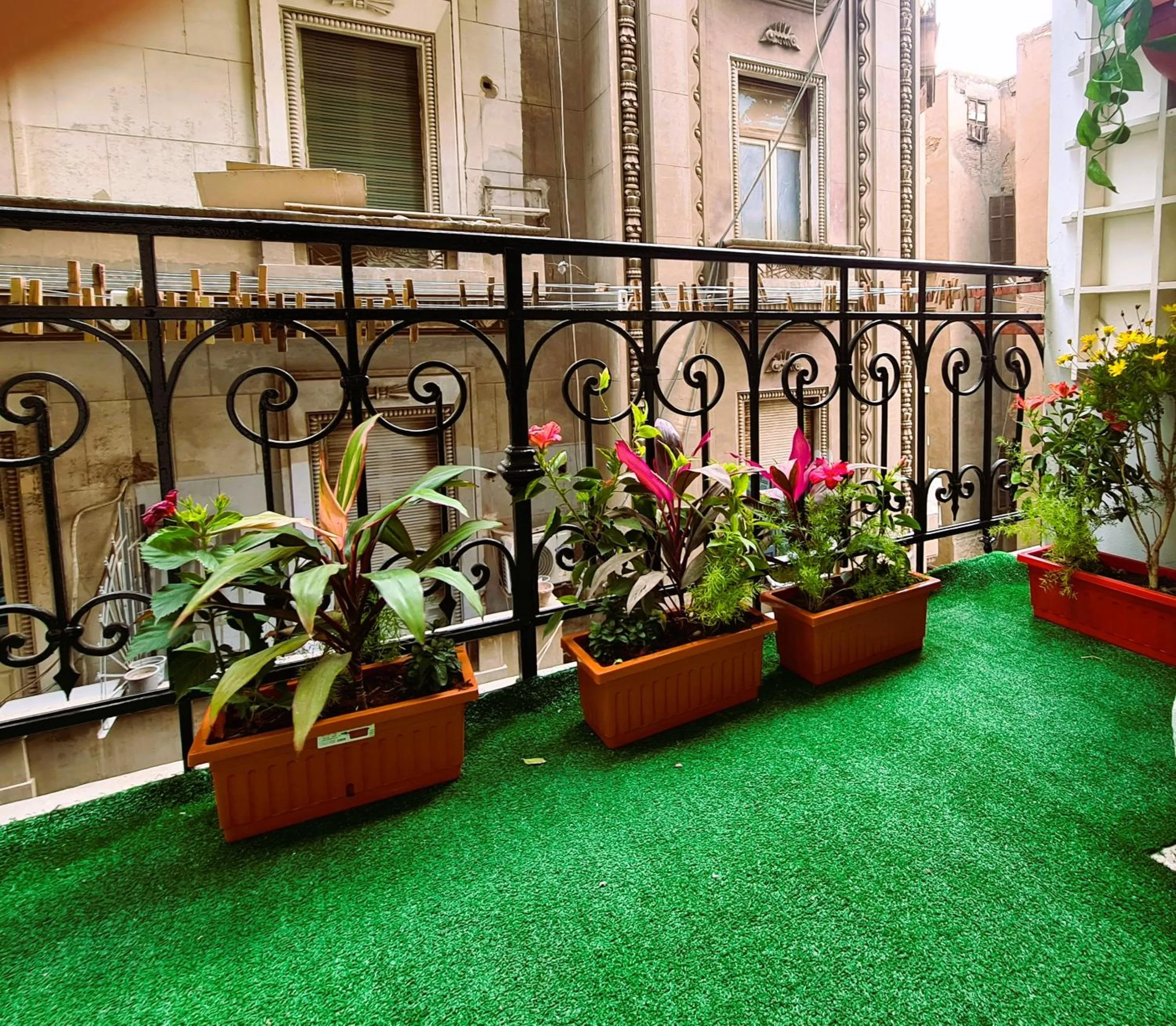 Spring in The Australian Hostel