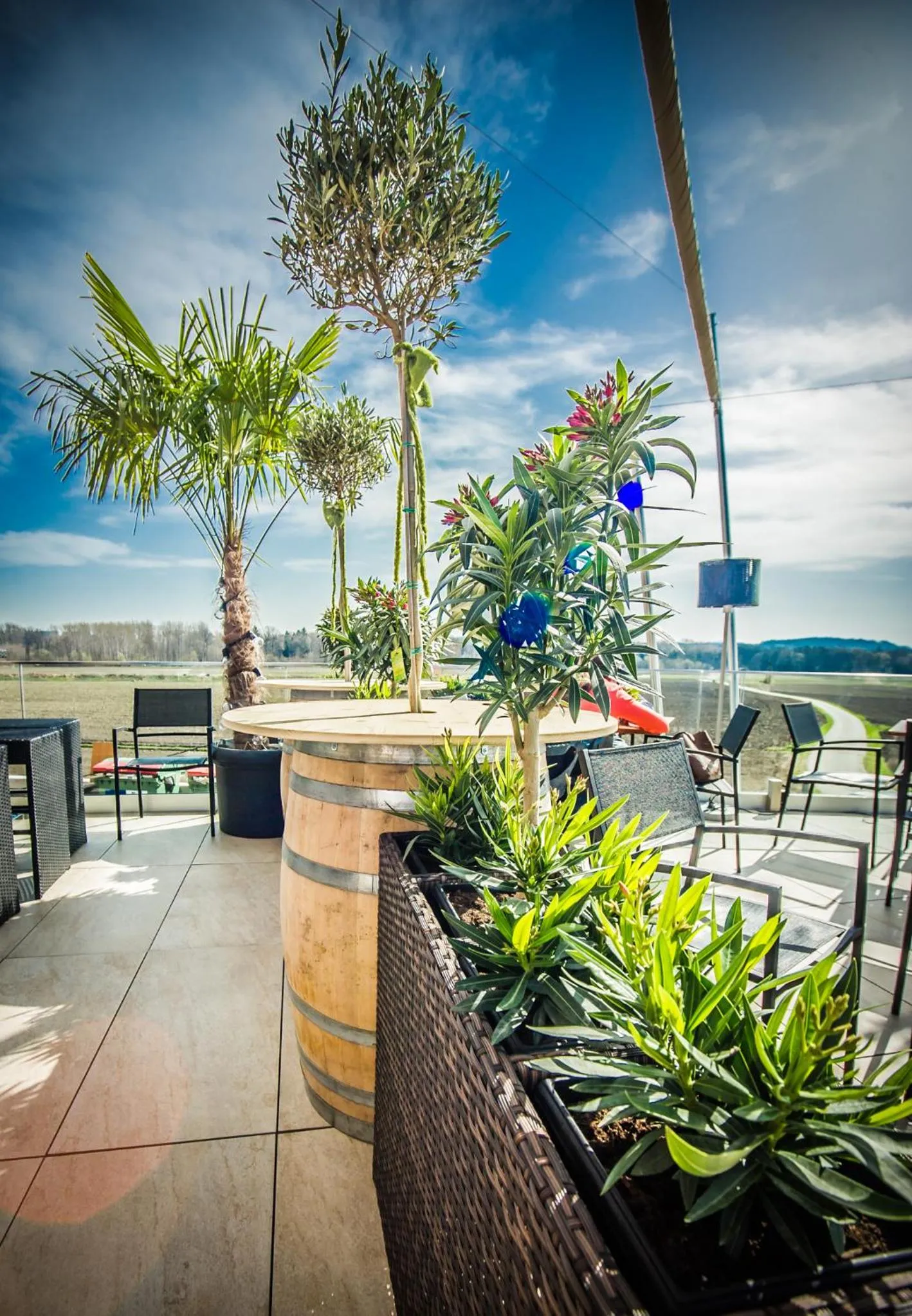 Balcony/Terrace in Cafe-Restaurant LEO