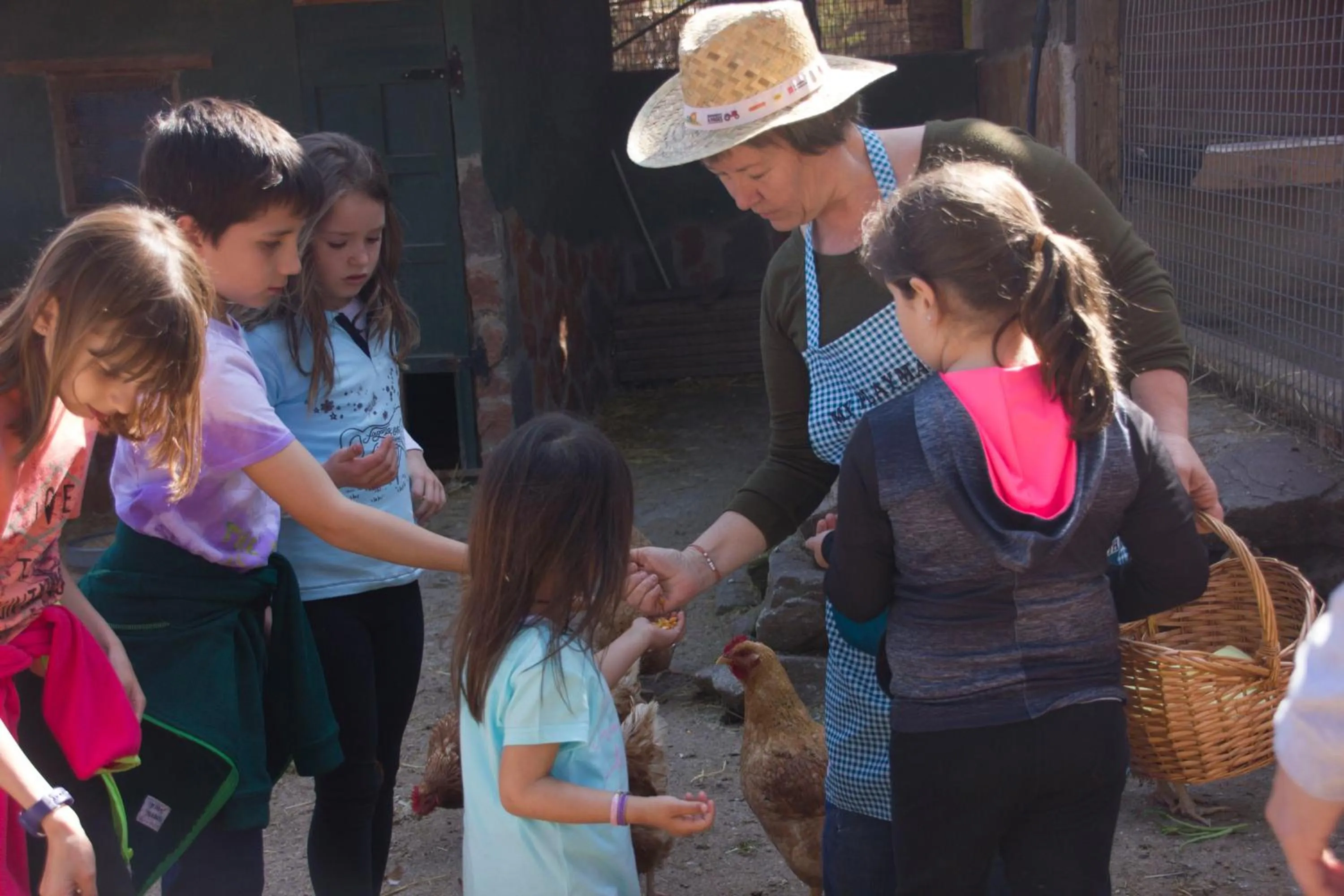 Animals in Xalet De Prades