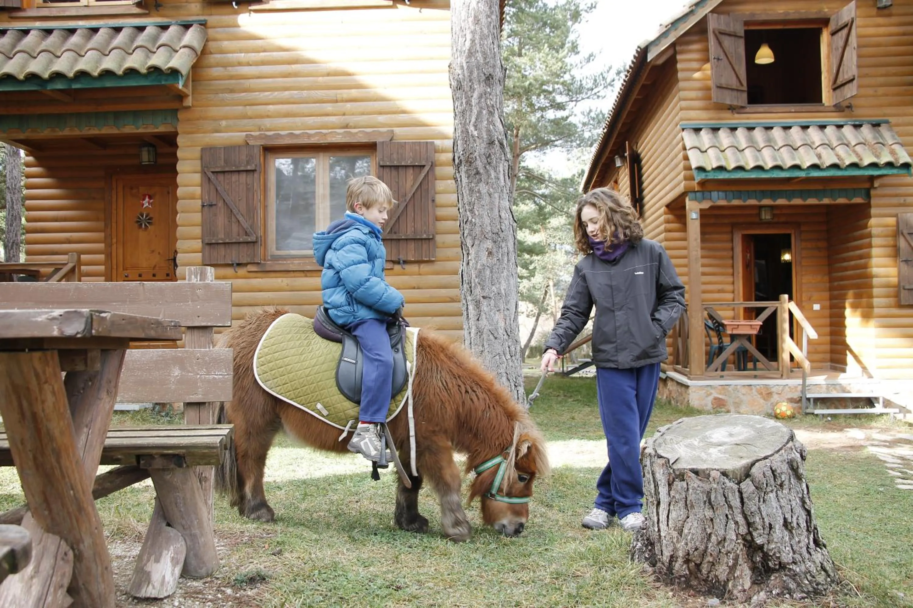 Animals in Xalet De Prades