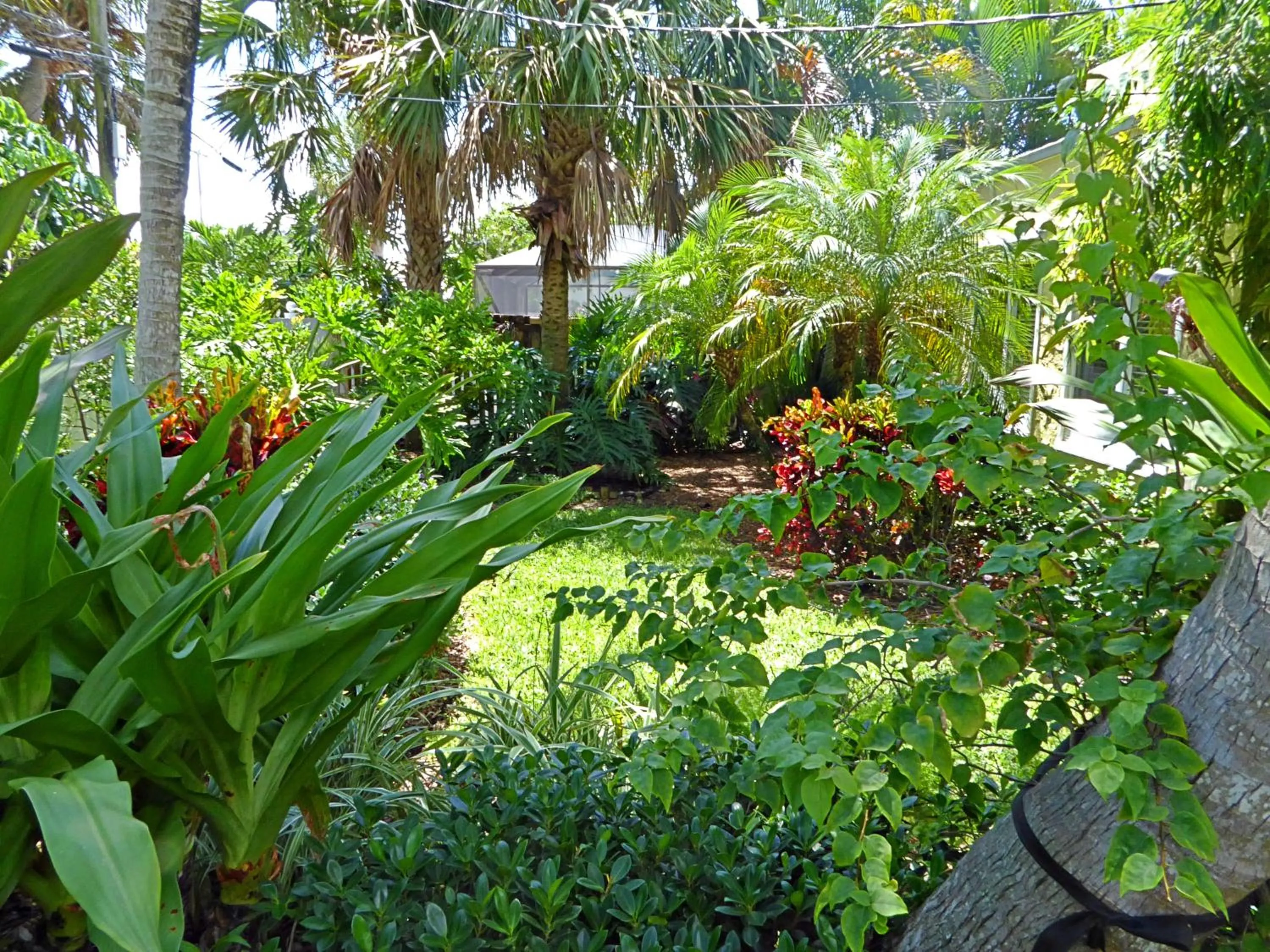 Garden in Magical villa -Private pool-spa & garden