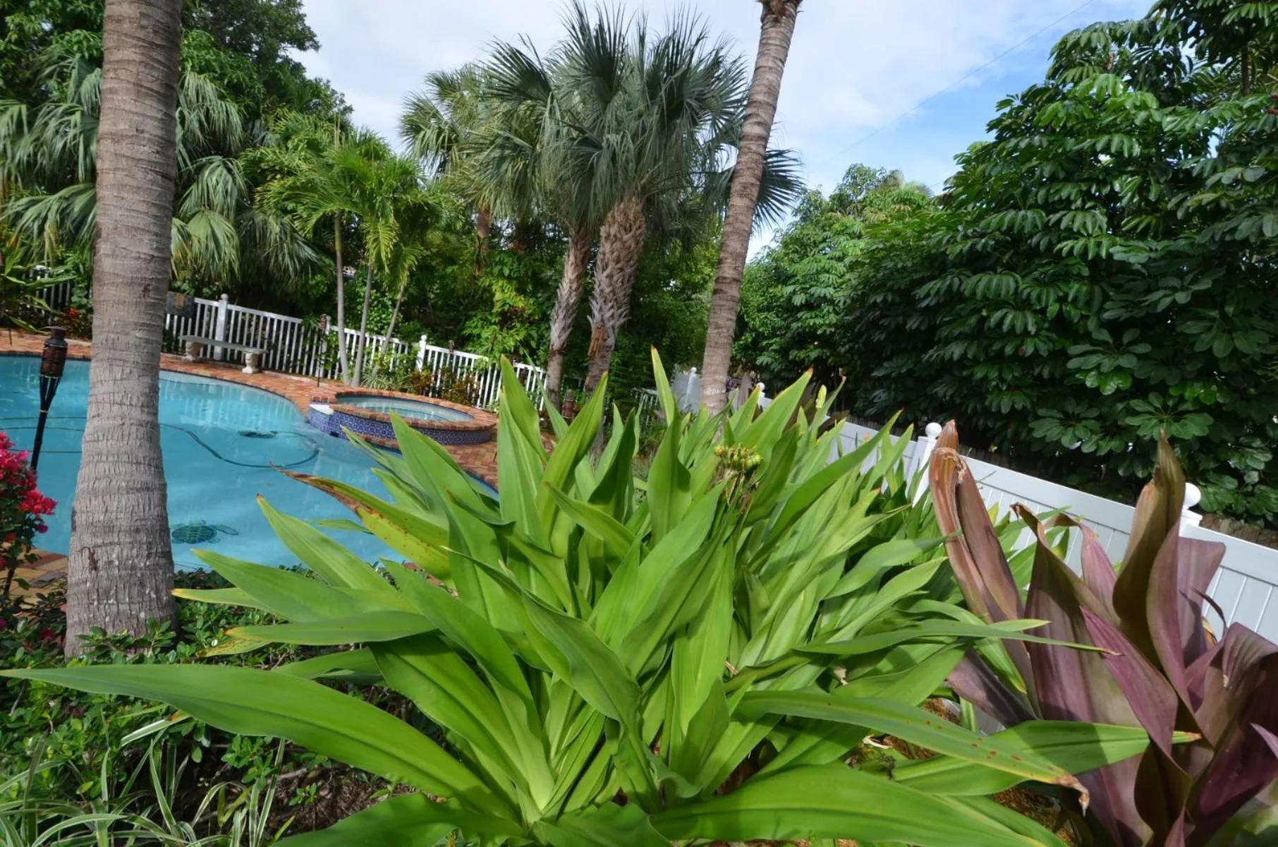 Patio in Magical villa -Private pool-spa & garden