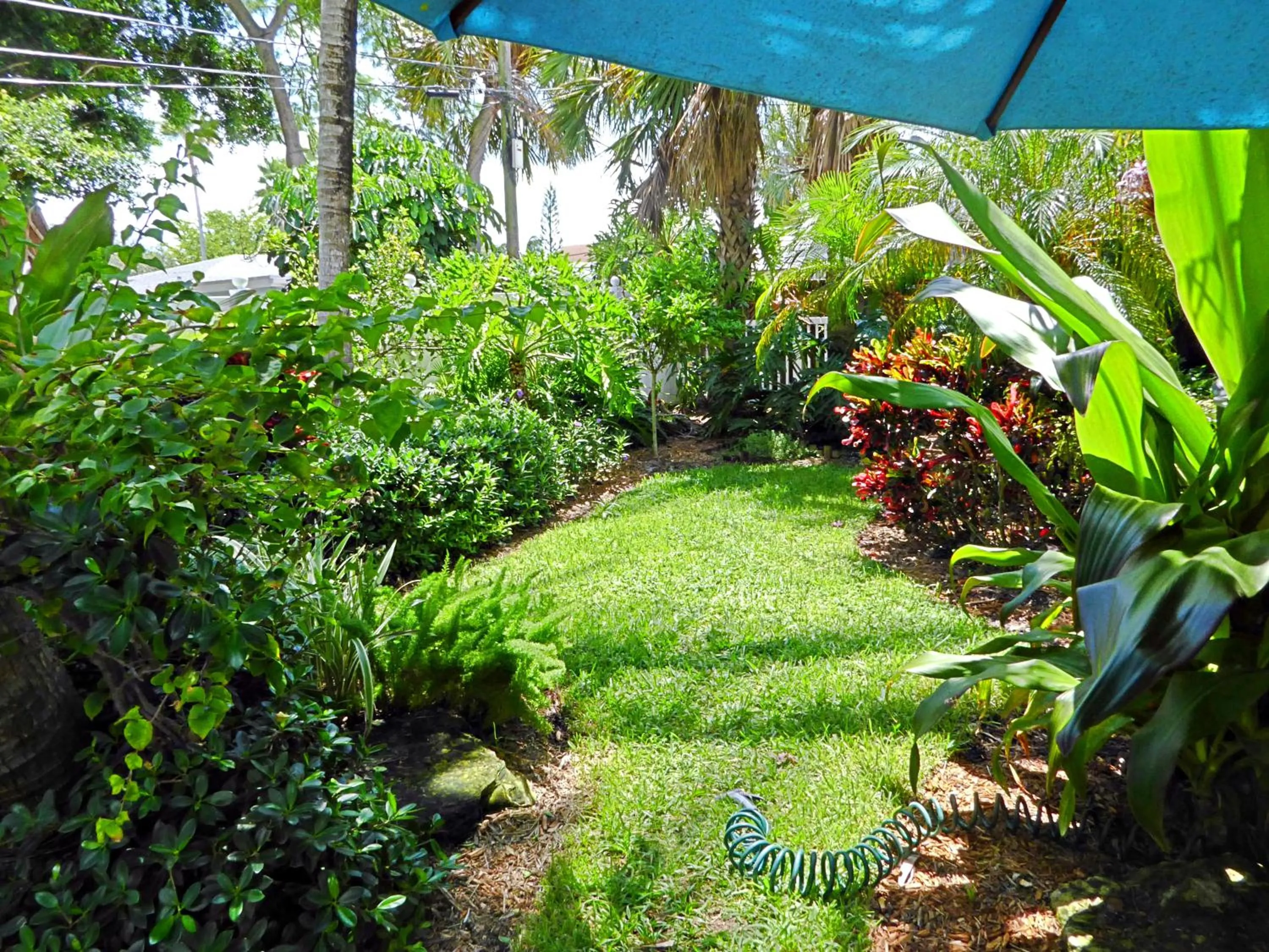 Garden in Magical villa -Private pool-spa & garden