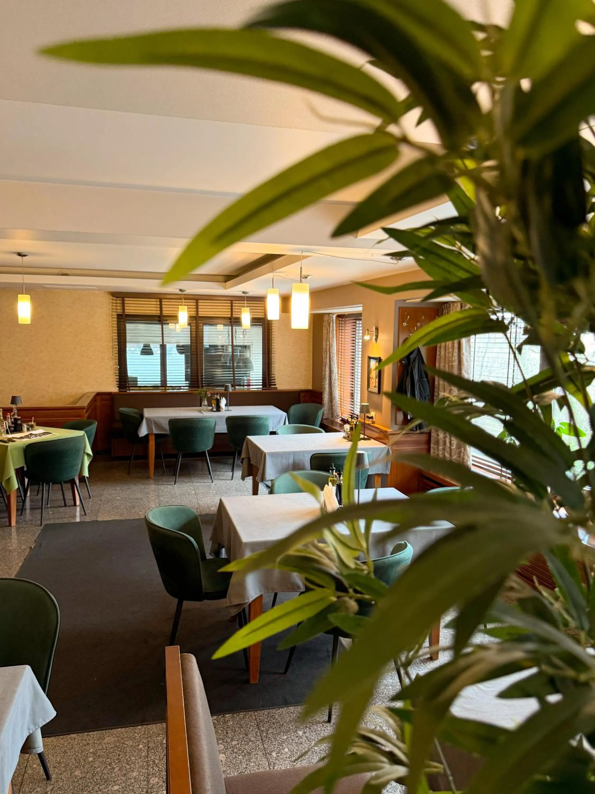 Restaurant/places to eat in Family Hotel EDI