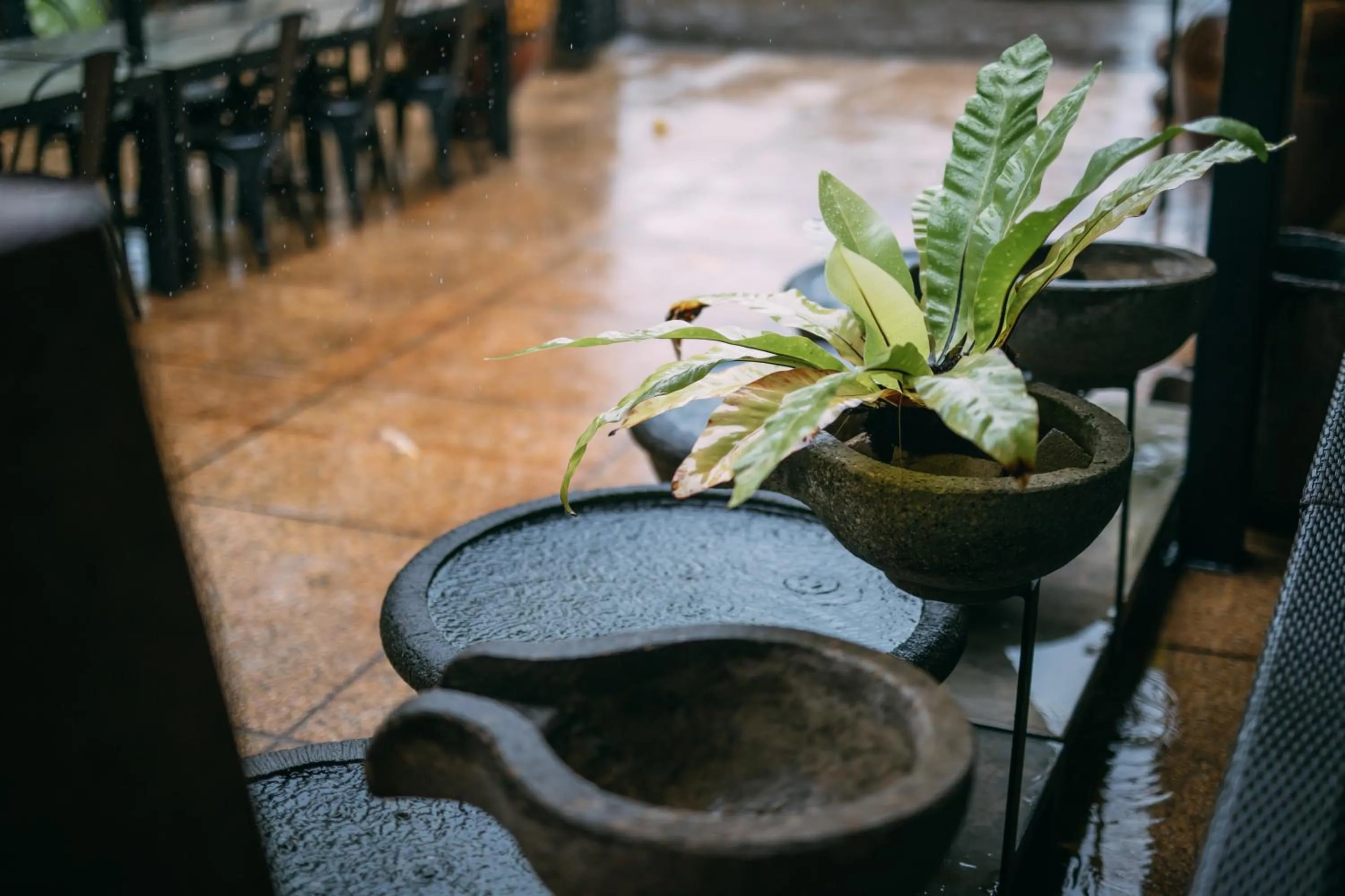 Garden in Lot 33 Boutique Hotel