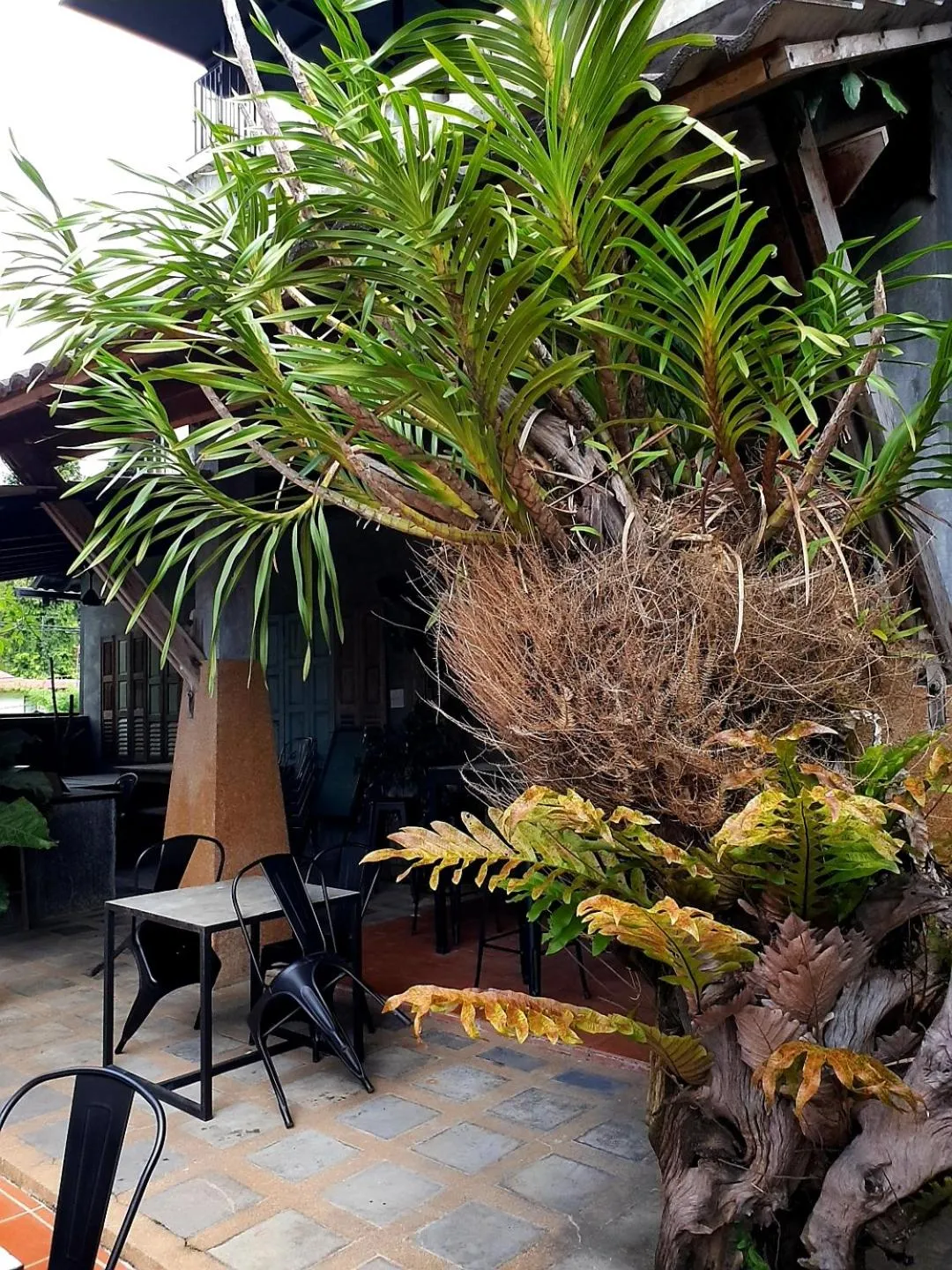 Garden in Lot 33 Boutique Hotel