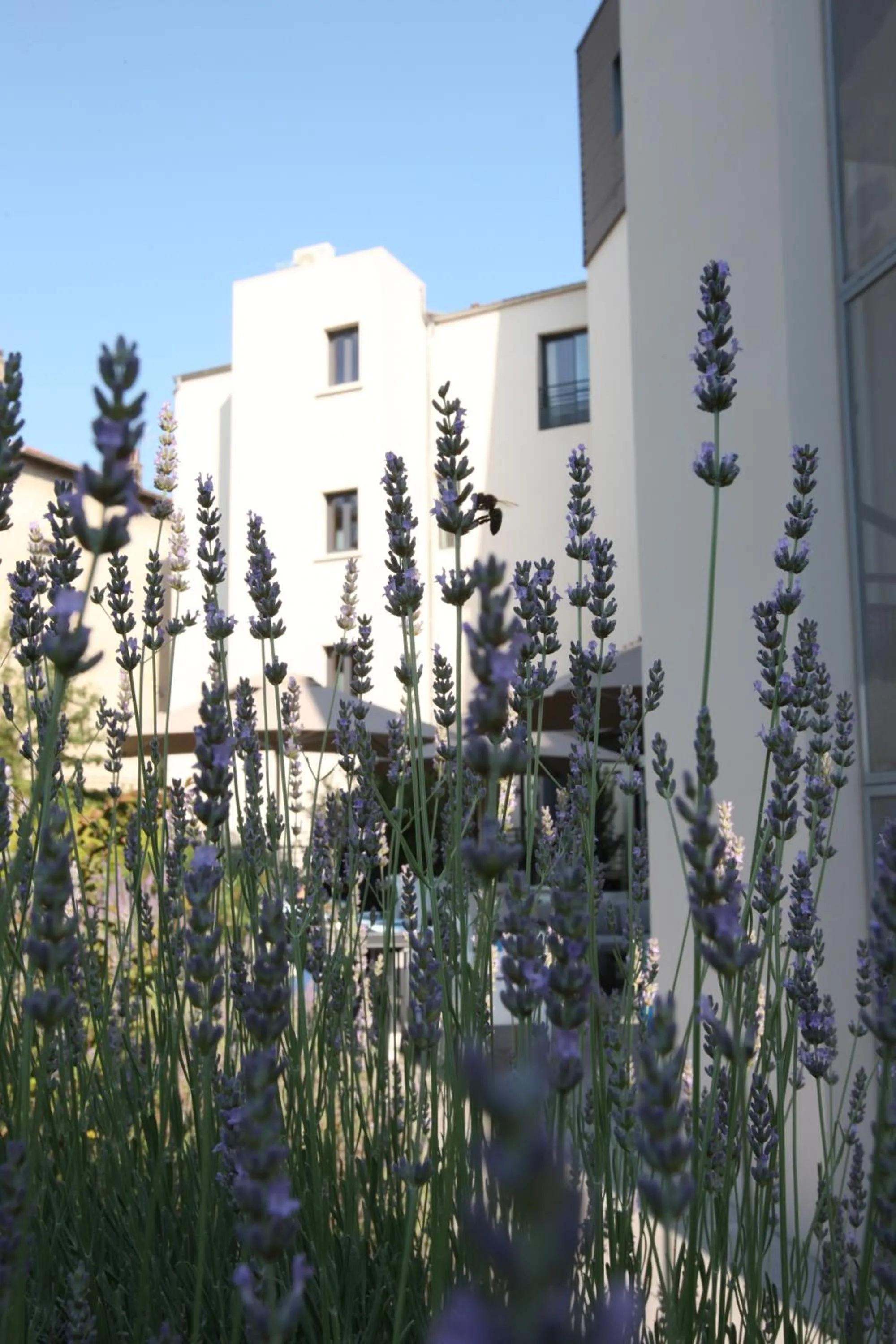 Patio in Hotel De France