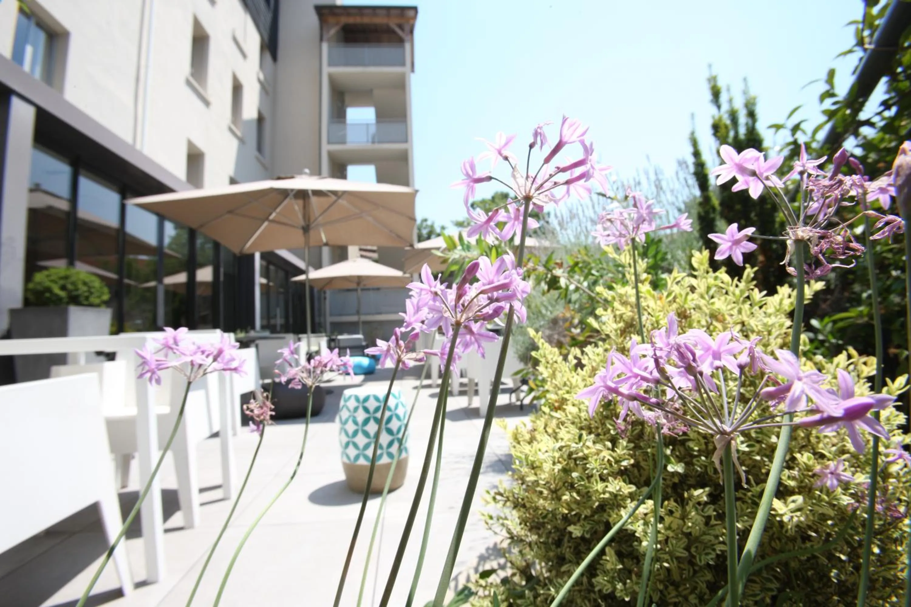 Patio in Hotel De France