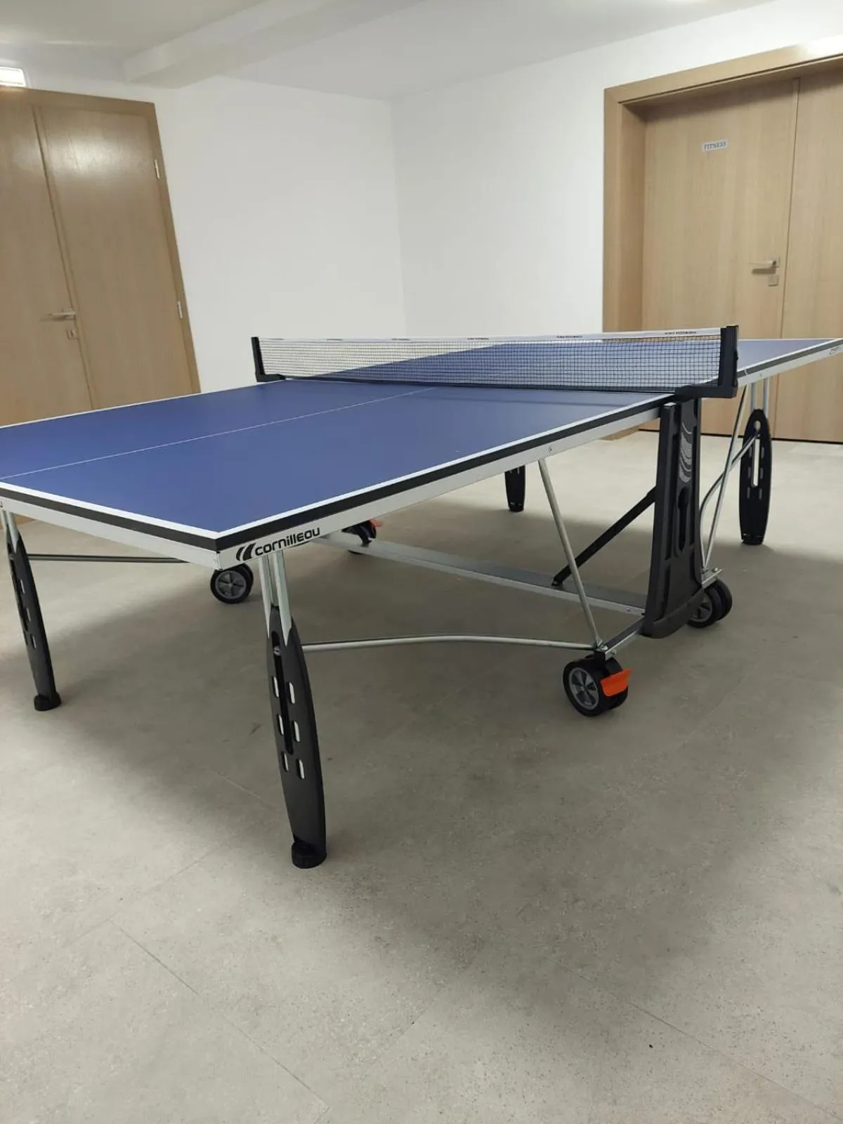 Table tennis in New Wolf
