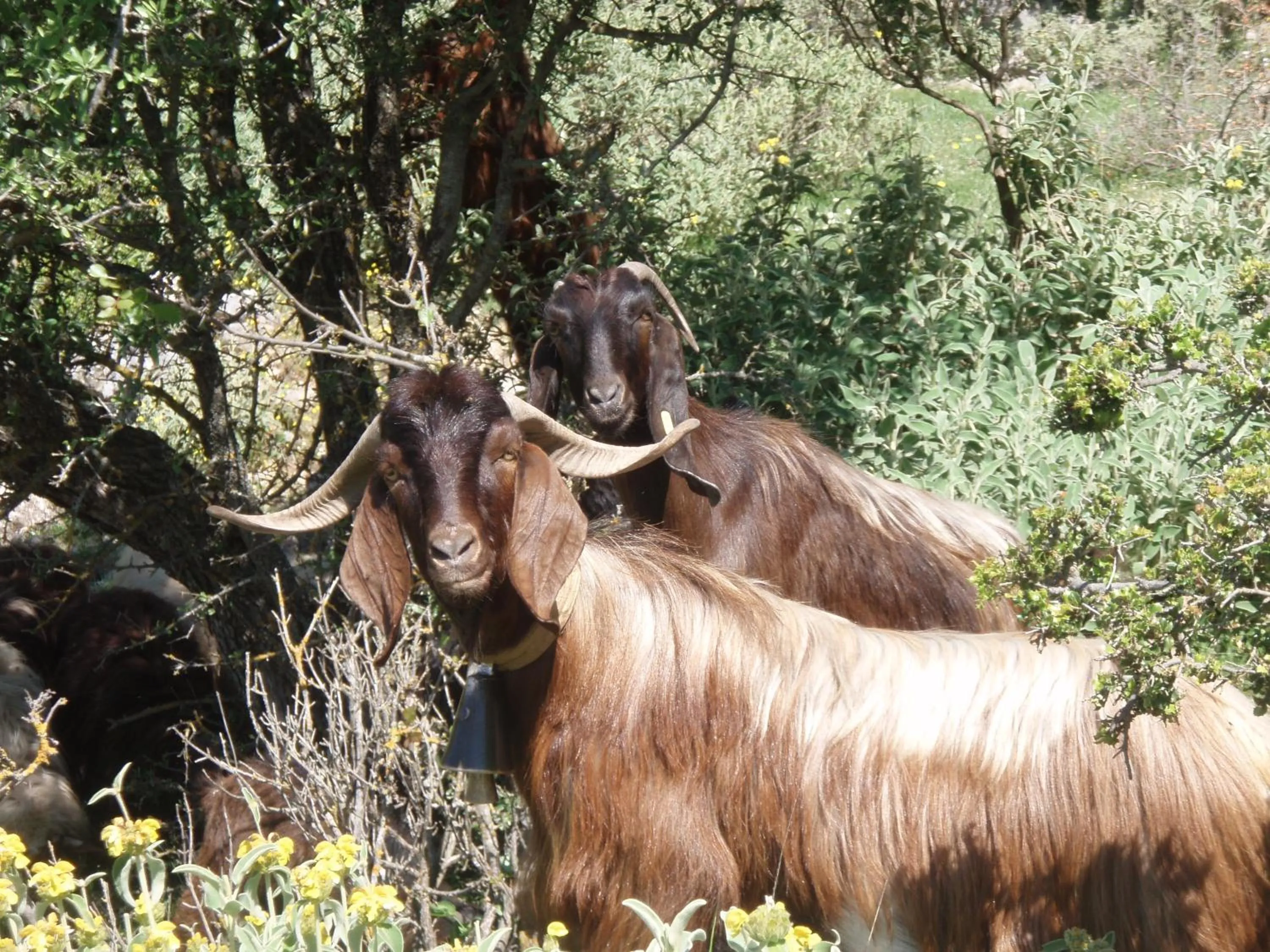 Activities in Maria Apartments