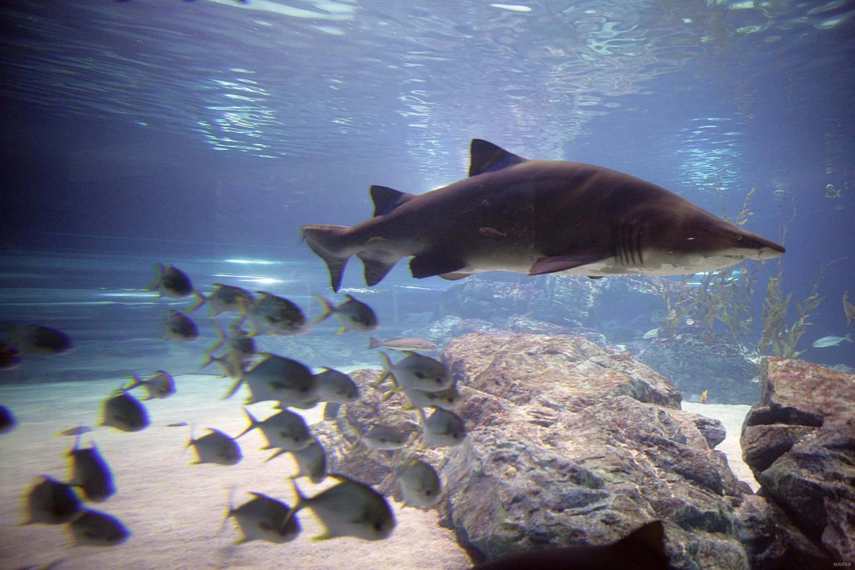 Nearby landmark in O'guest in Haeundae