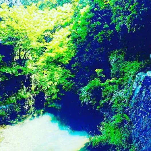 民宿有田 Arita Guesthouse