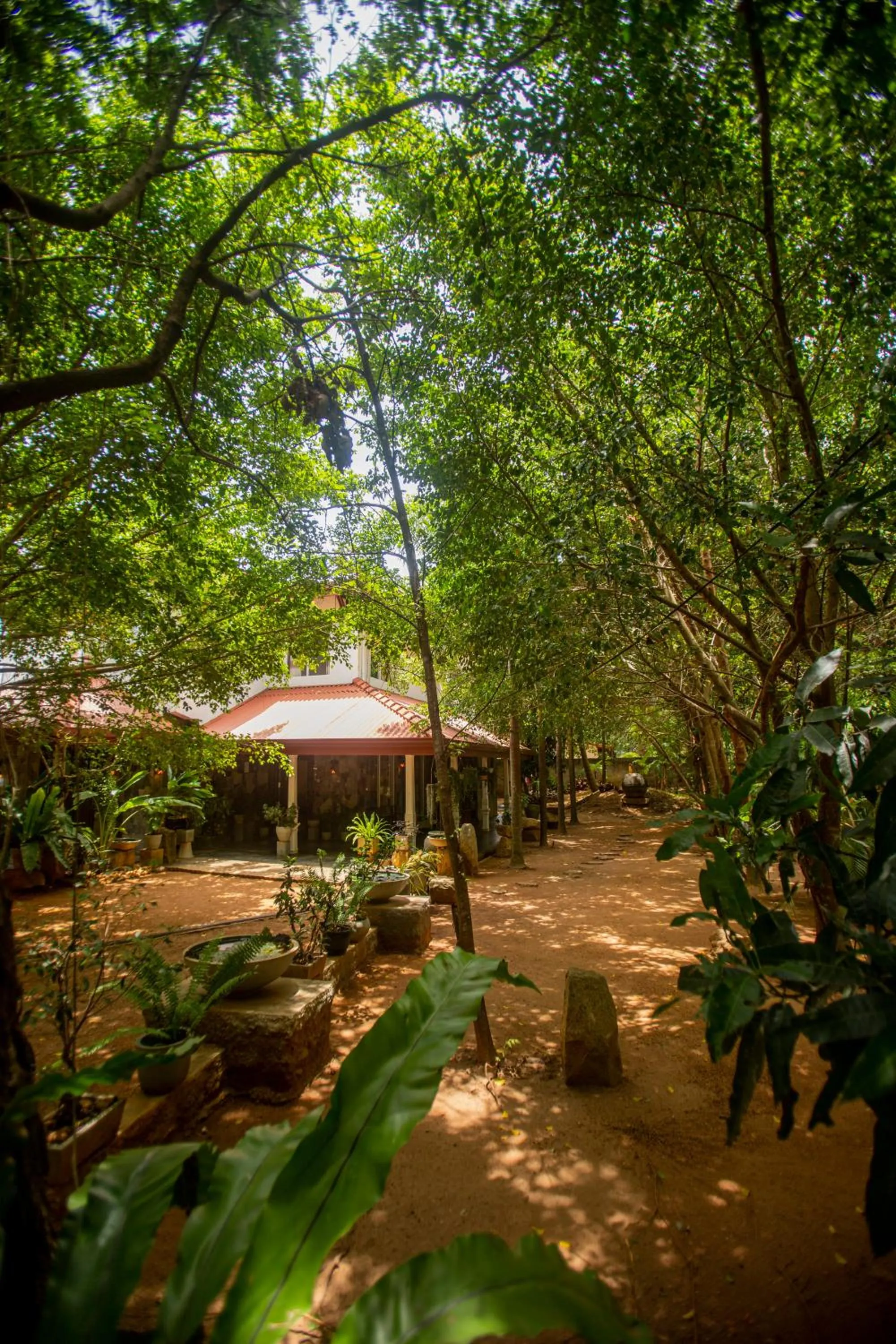 Property building in Evergreen Hotel Dambulla