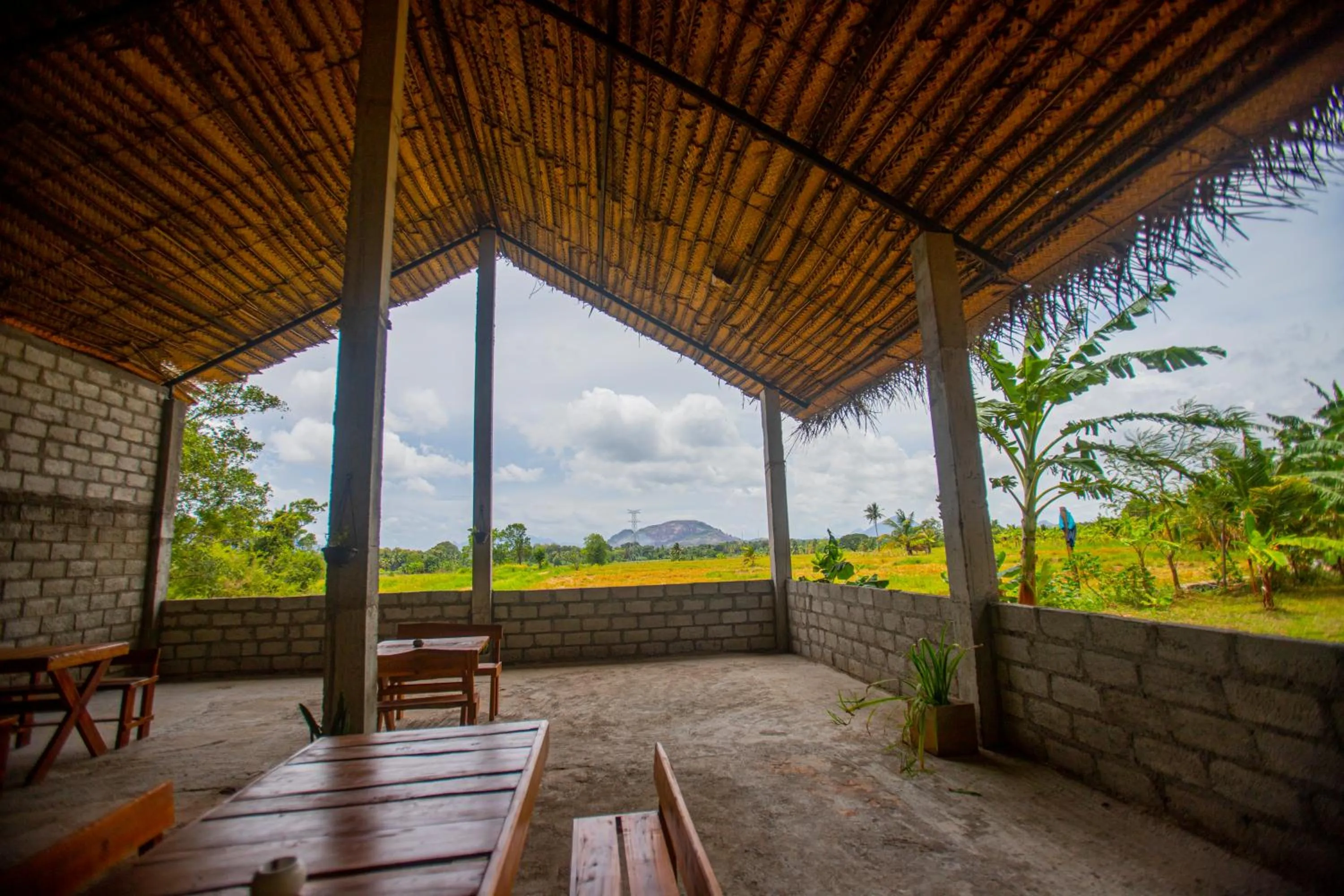 View (from property/room) in Evergreen Hotel Dambulla