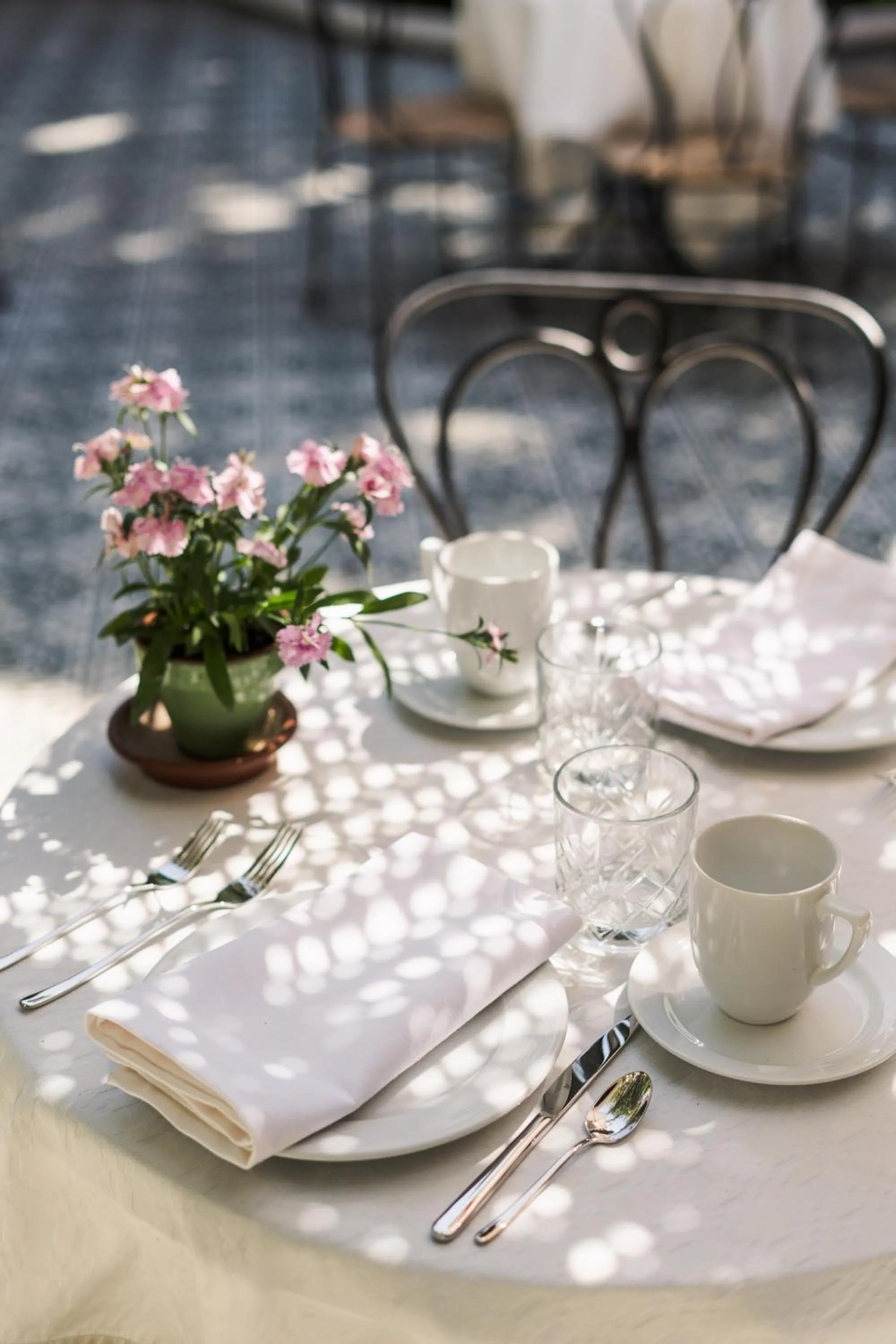 Restaurant/places to eat in Villa Ganz Boutique Hotel