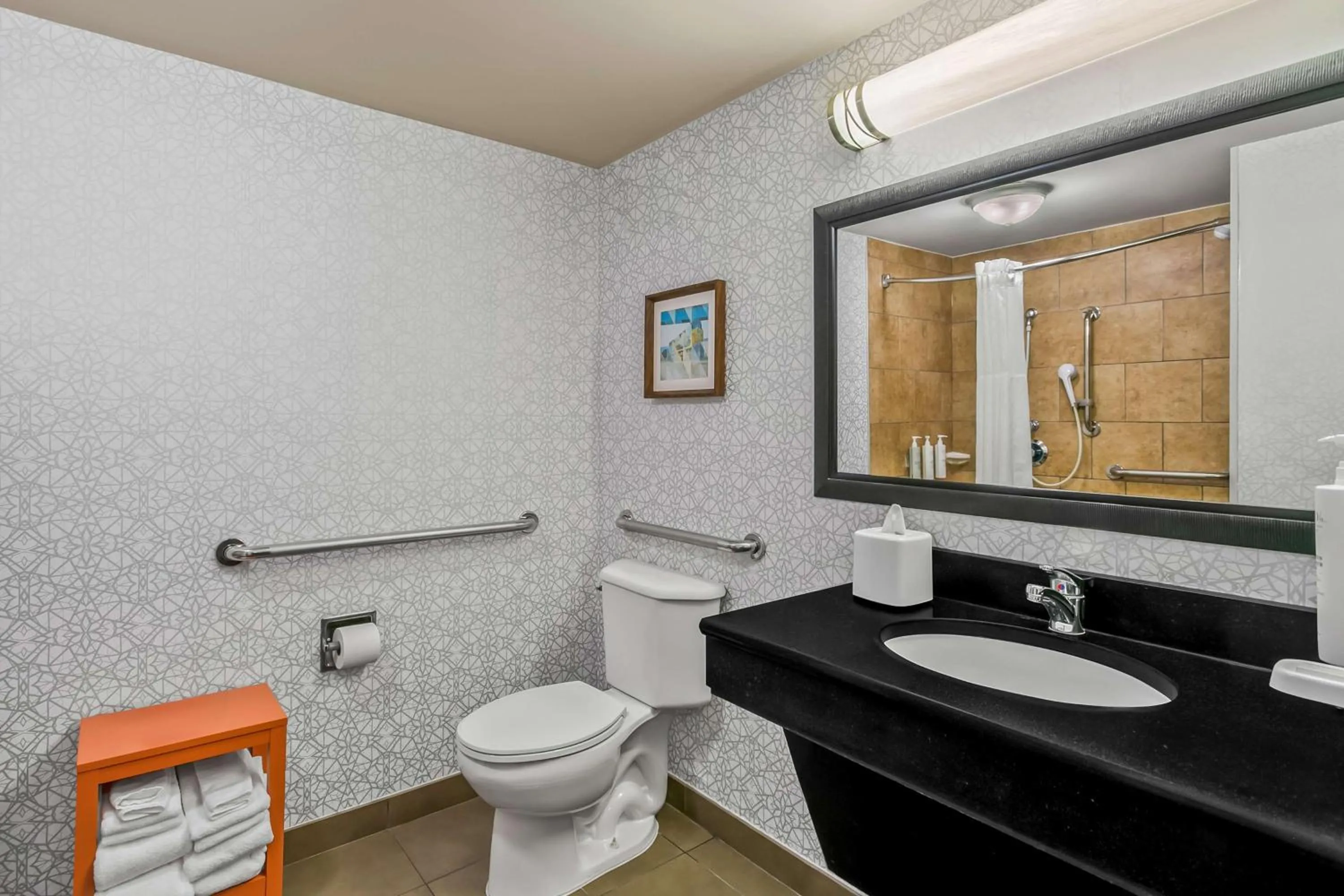 Bathroom in Hampton Inn Bowie