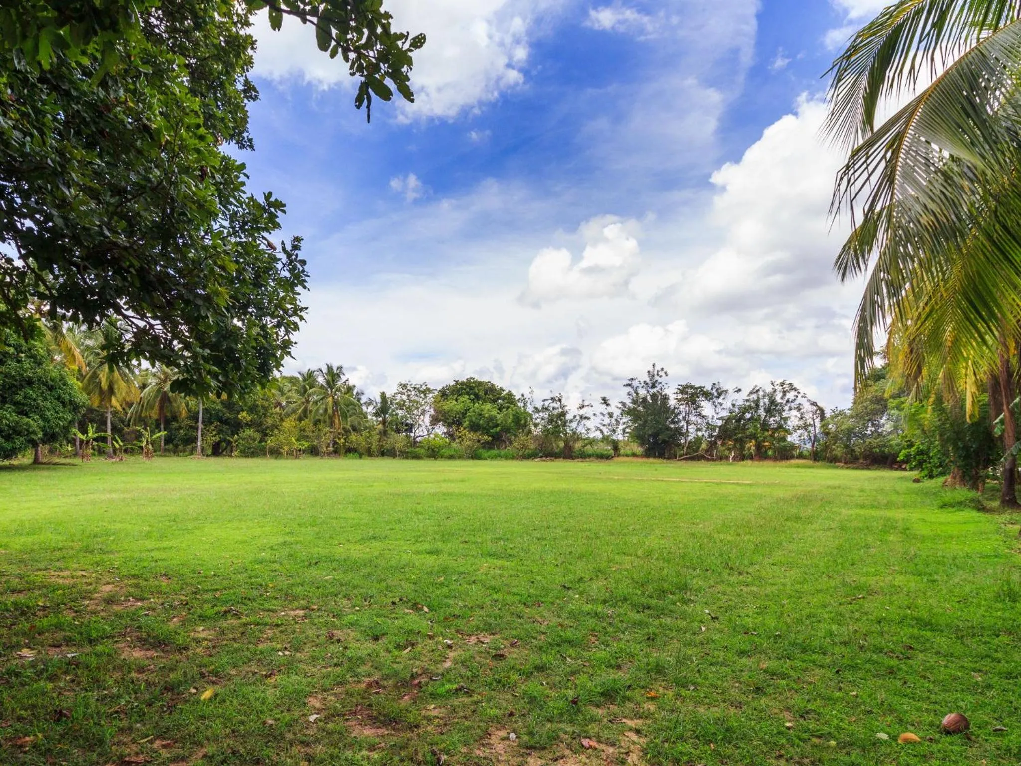 Garden in Sigiriana Resort by Thilanka