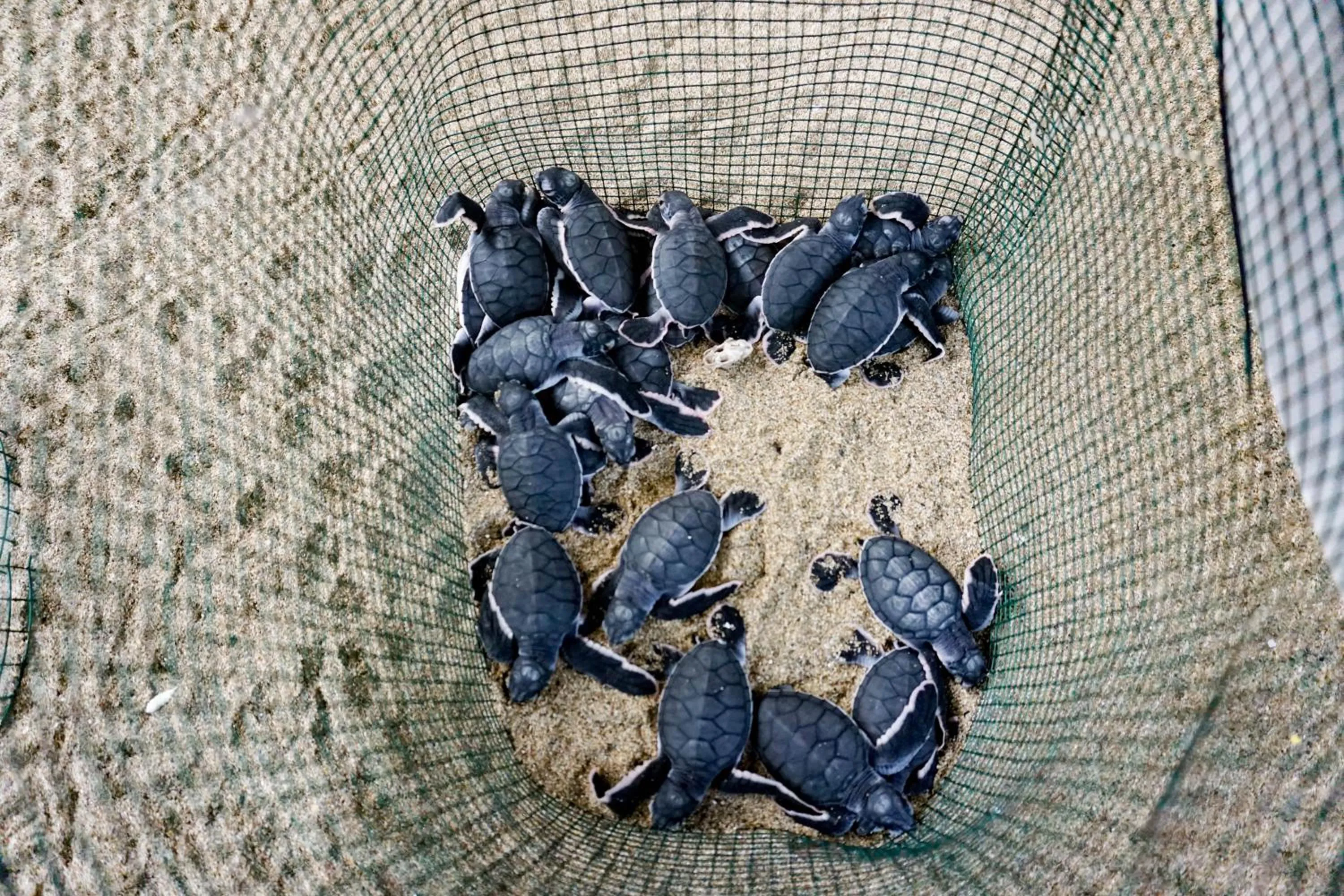 Activities in Wisma Pulau Merah