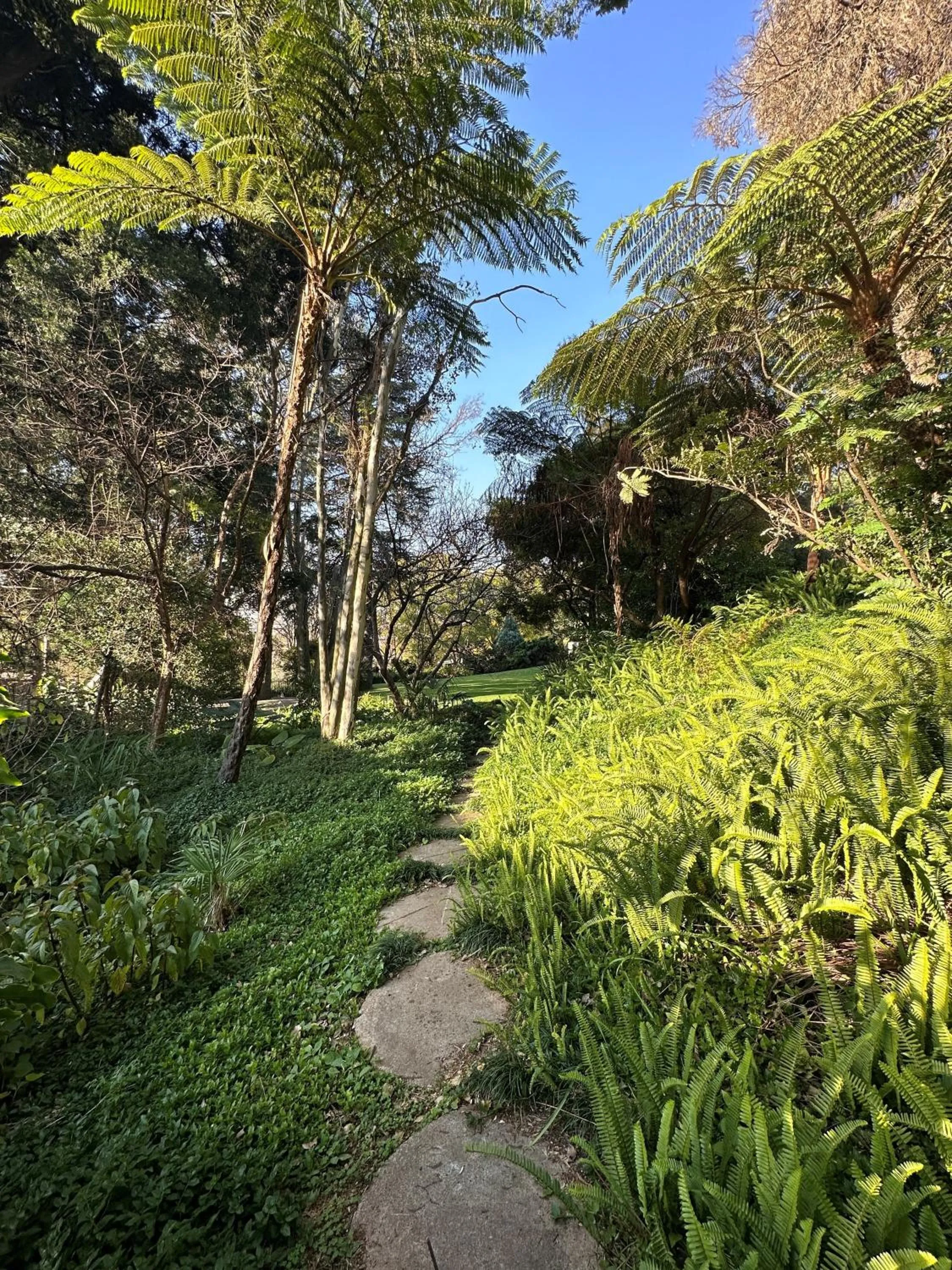 Garden in Serene Place Guest House & Conference Venue AFFORDABLE LUXURY WITH BACKUP POWER