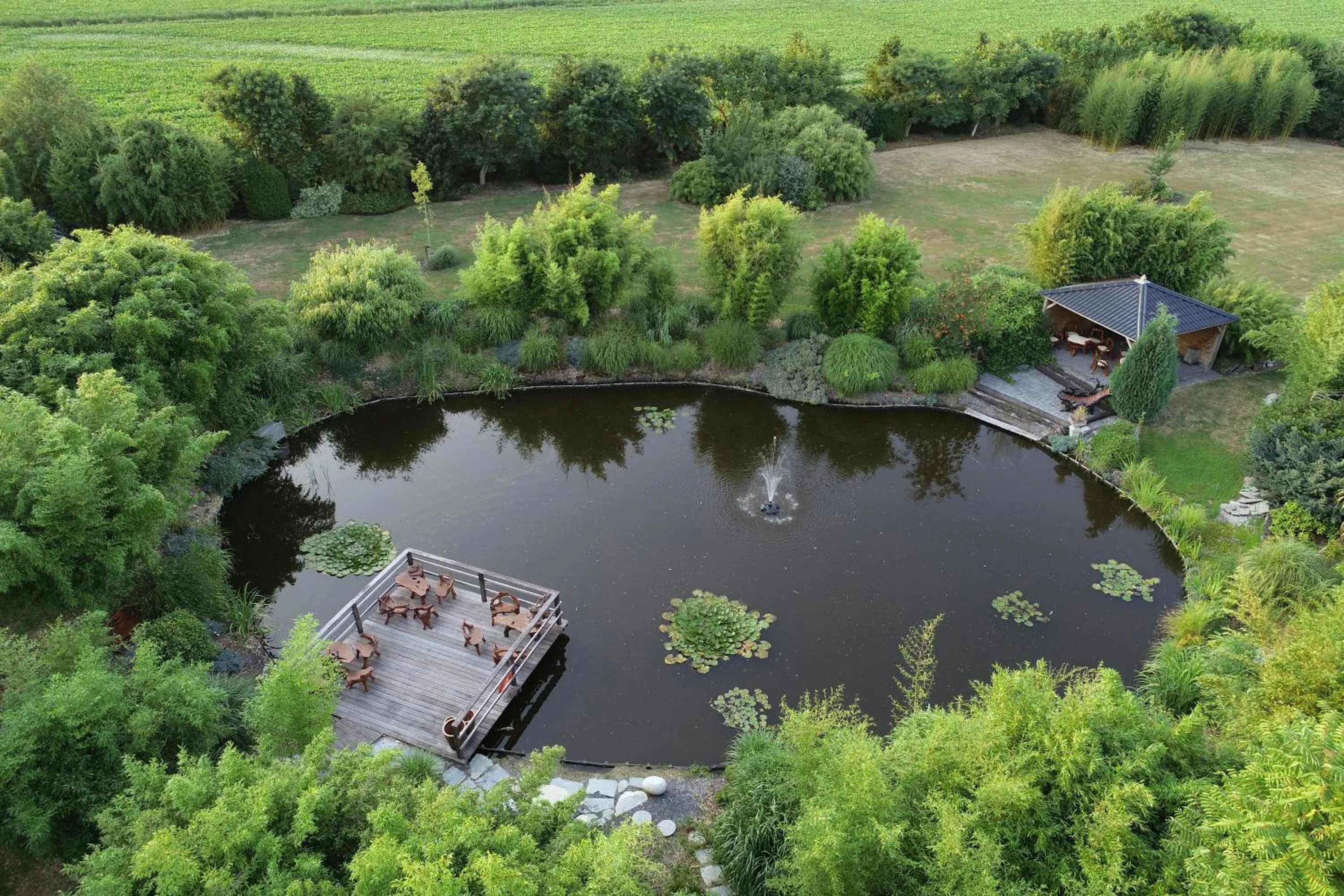 Bird's eye view in Romala's Home