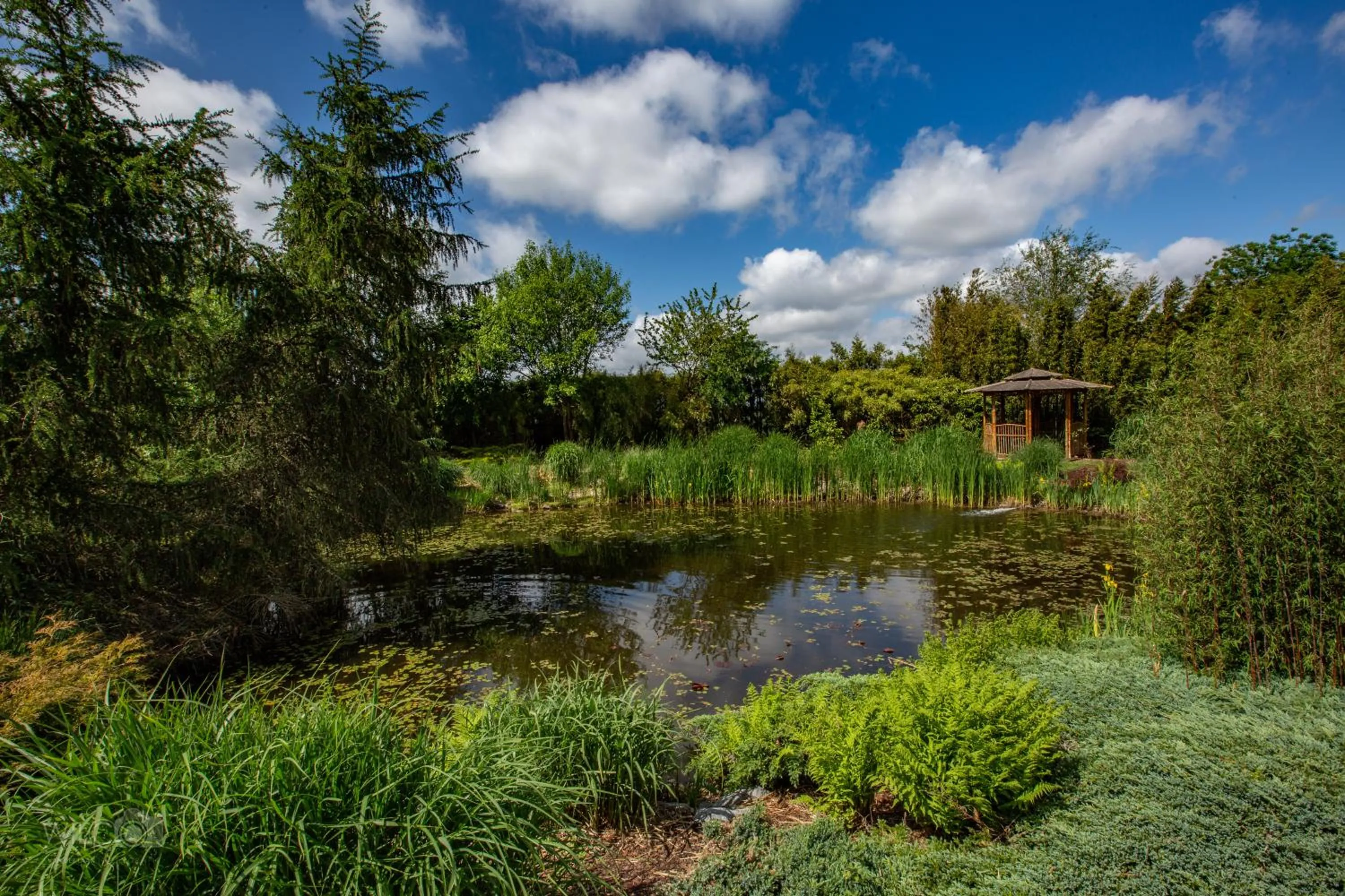 Natural landscape in Romala's Home