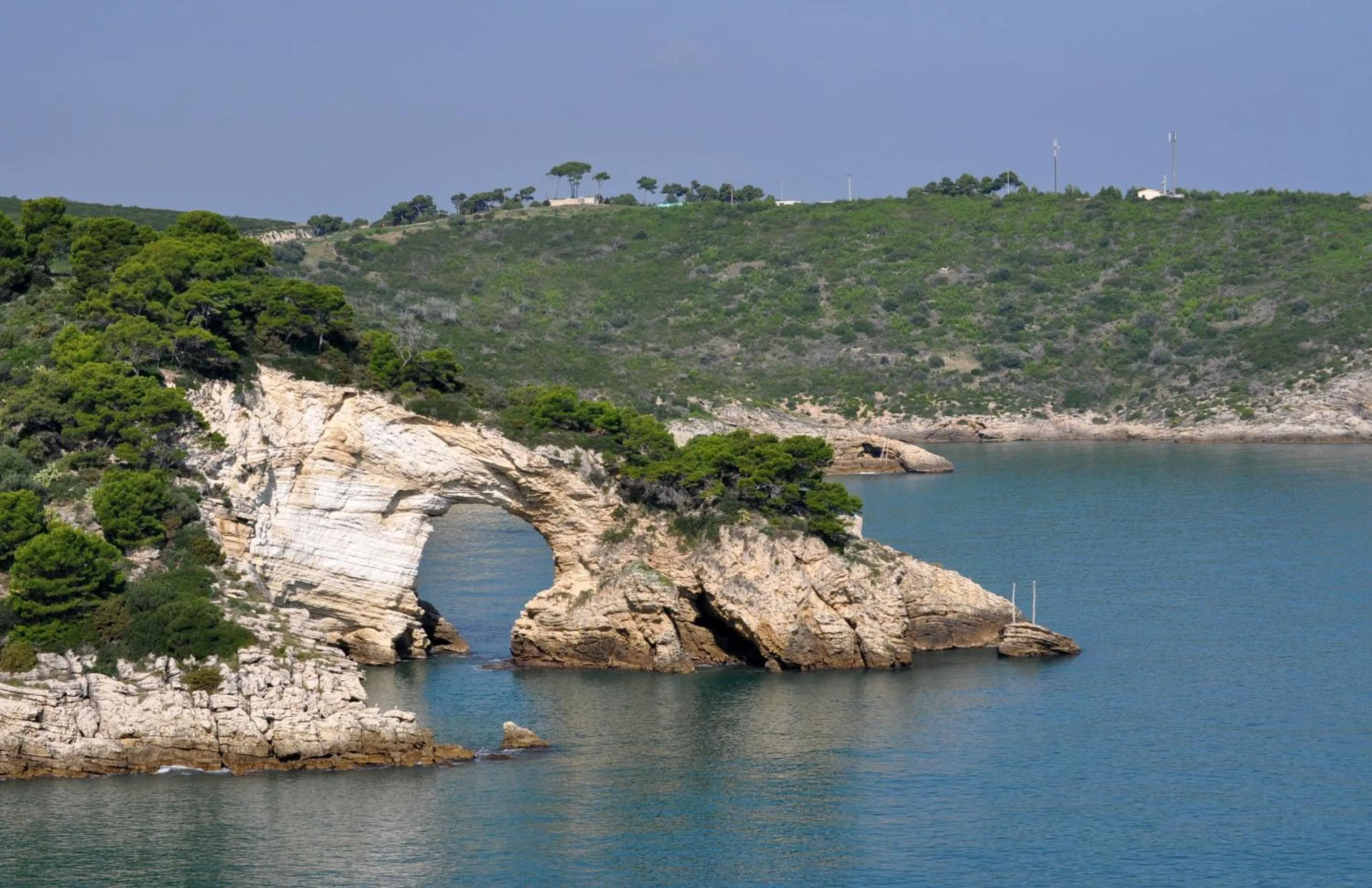 Natural landscape in Hotel Solaria