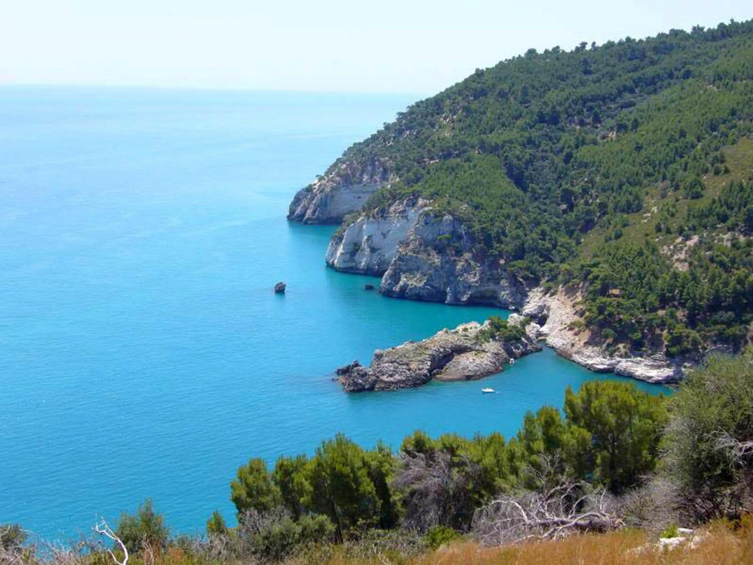 Natural landscape in Hotel Solaria