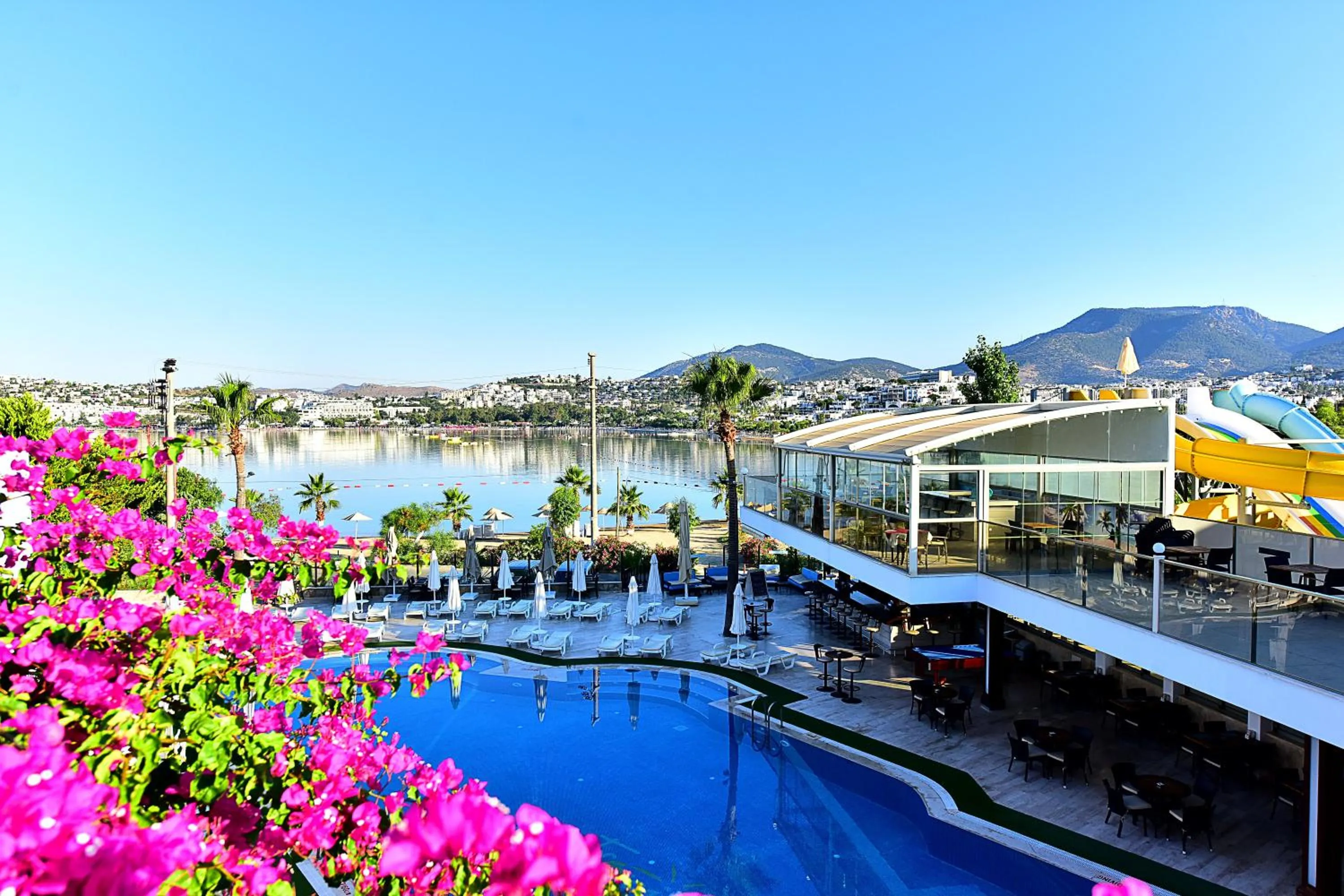 Pool view in Tropicana Beach