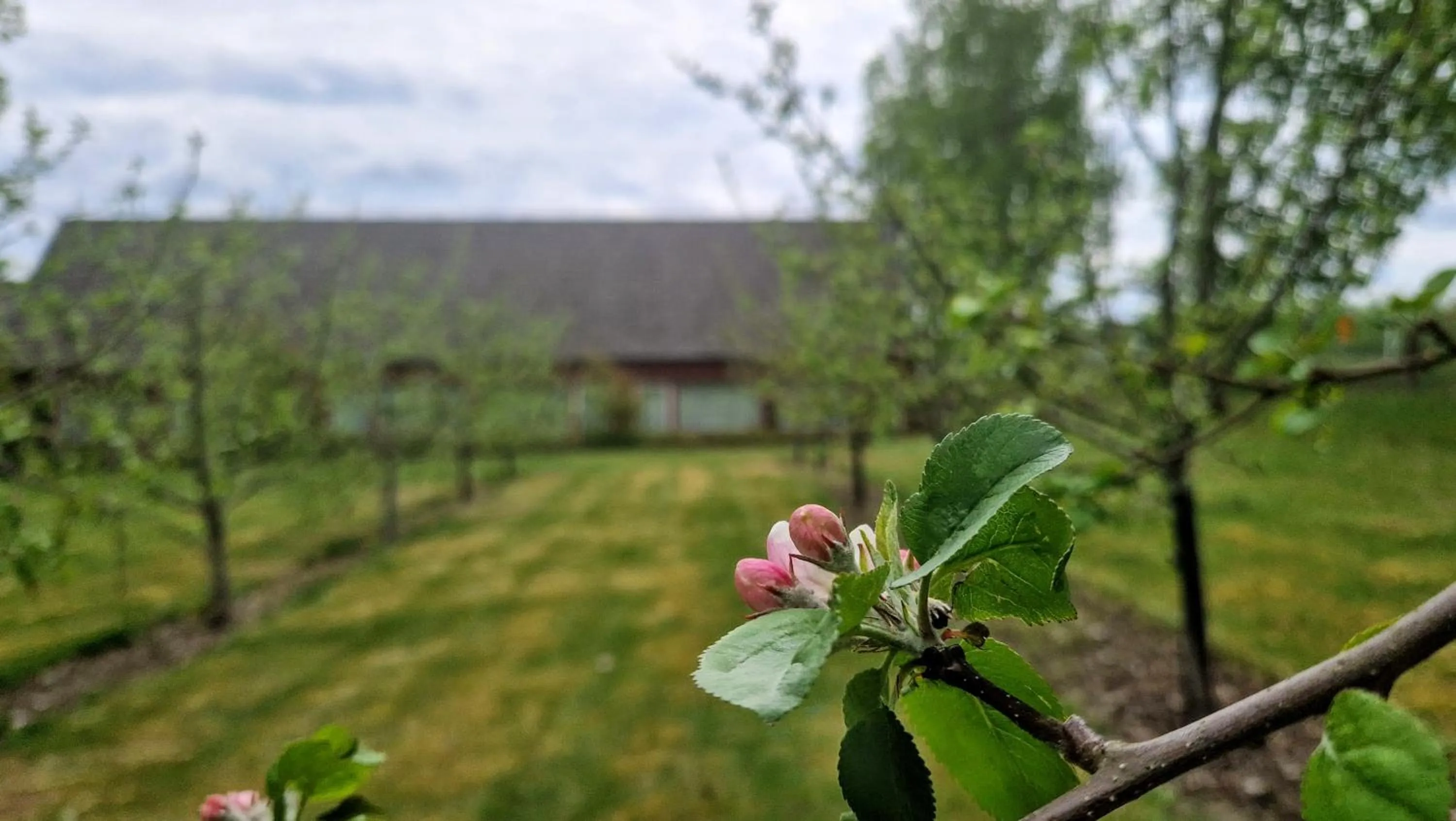 Spring in Toftastrand Hotell