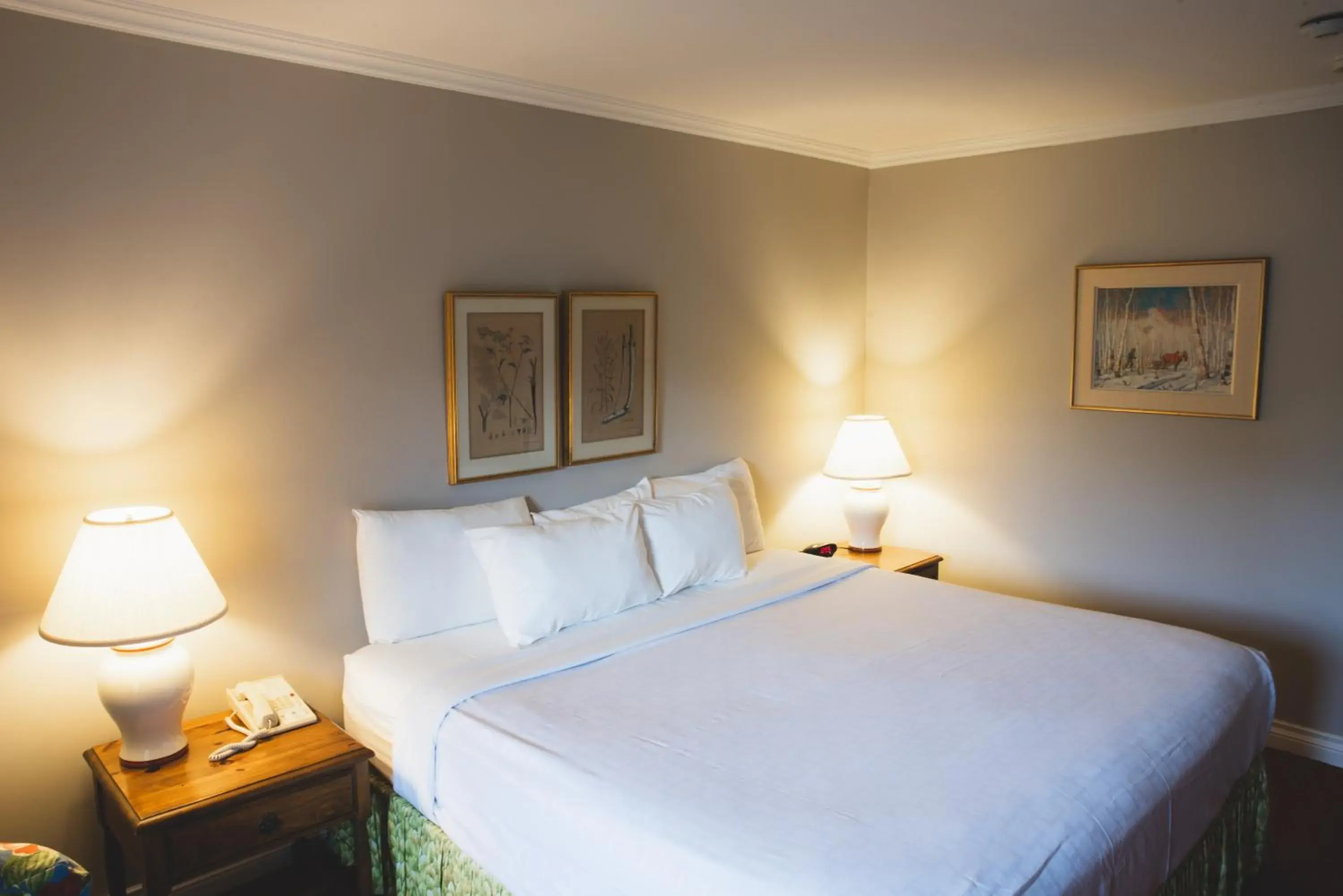 Deluxe Double or Twin Room with Garden View in Briars Resort and Spa Deluxe Double or Twin Room with Garden View in Briars Resort and Spa