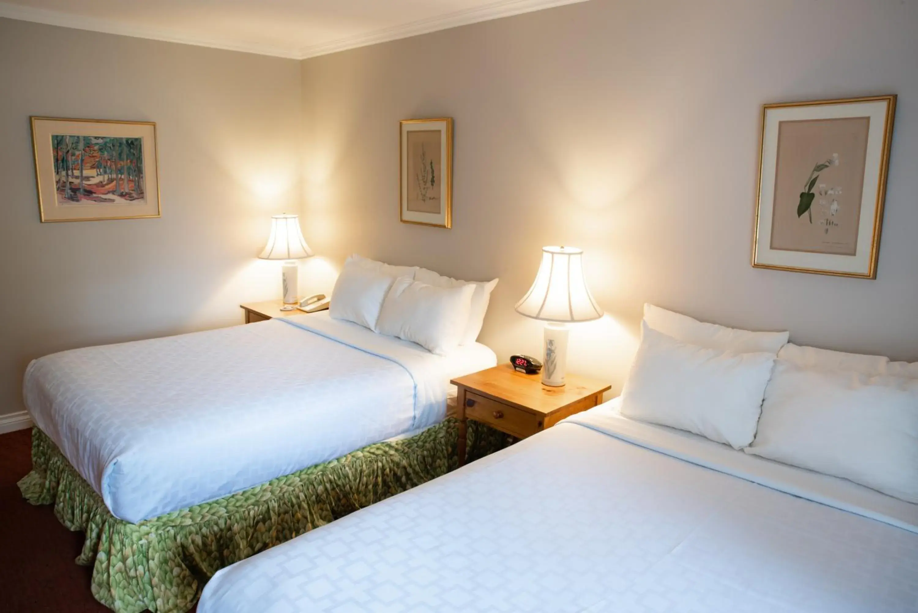 Deluxe Double or Twin Room with Lake View in Briars Resort and Spa Deluxe Double or Twin Room with Lake View in Briars Resort and Spa