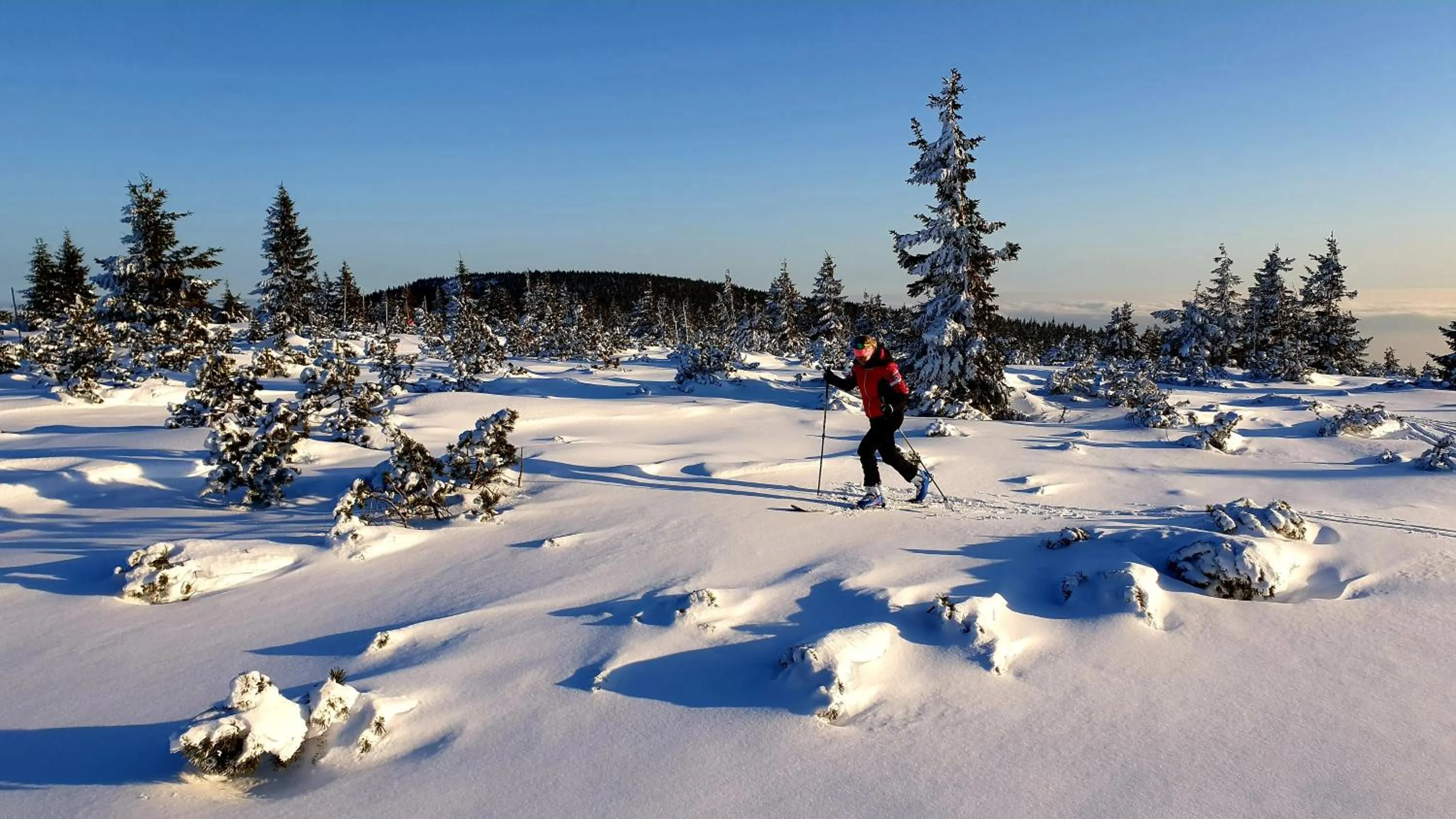 Neighbourhood in Horský hotel Kolínská bouda