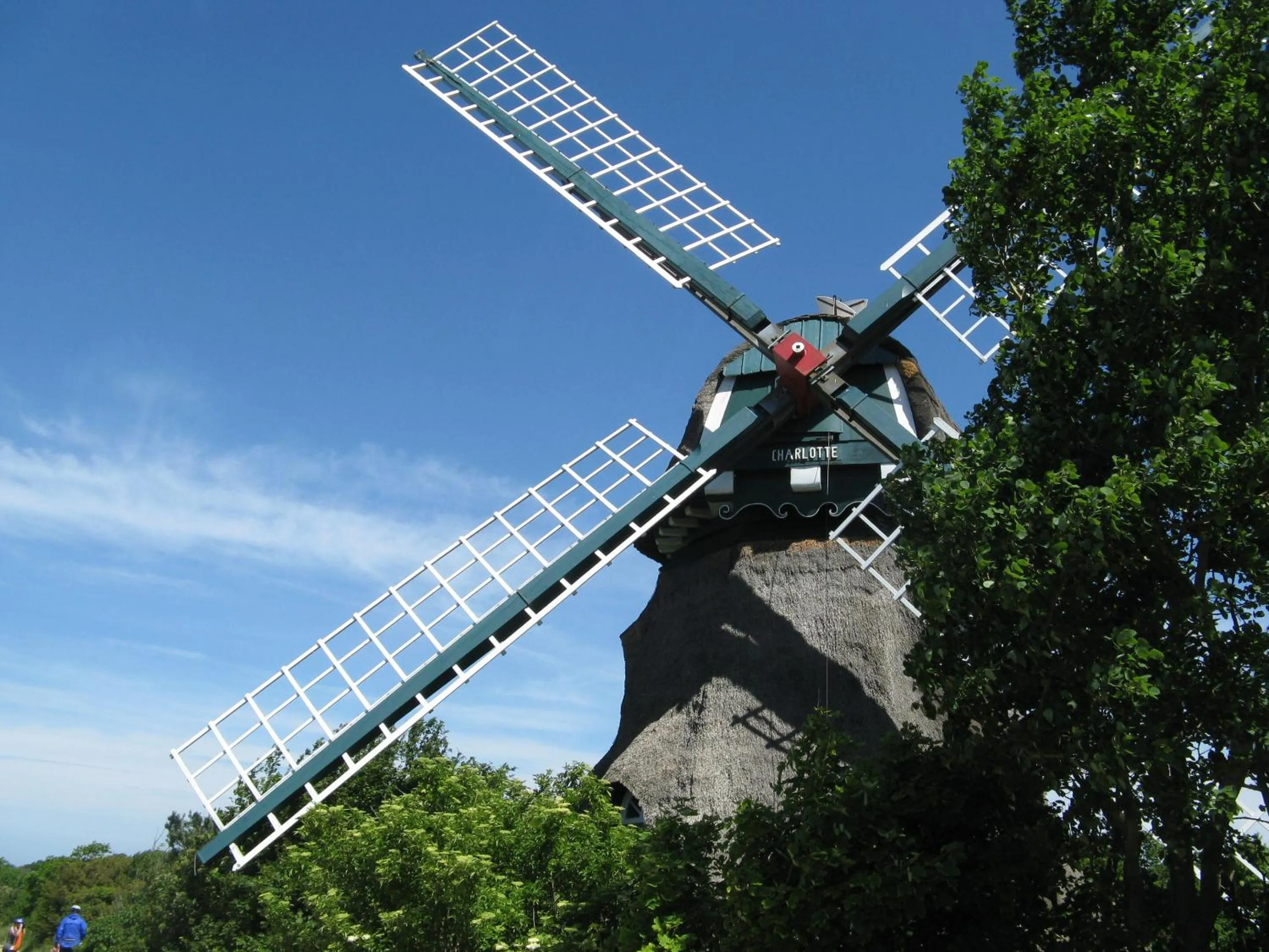 Activities in Hotel Goos