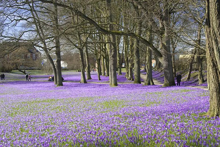 Activities in Hotel Goos