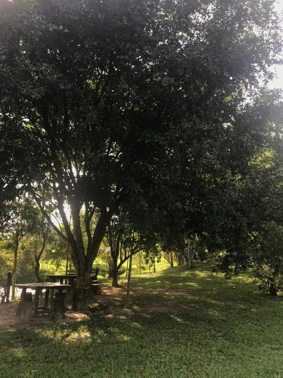 Garden in Hotel Pousada Bambuzal