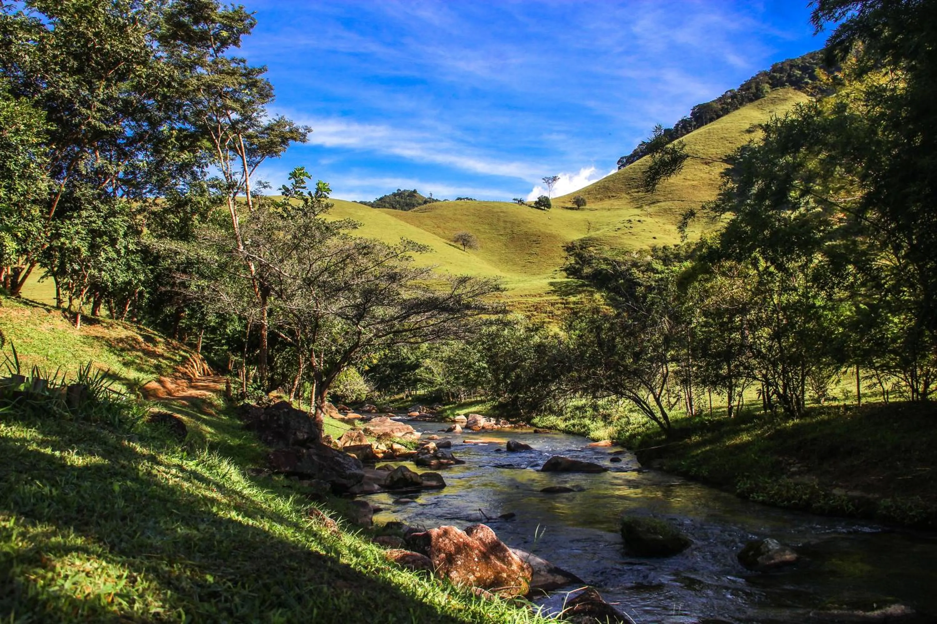 Natural landscape in Hotel Pousada Bambuzal