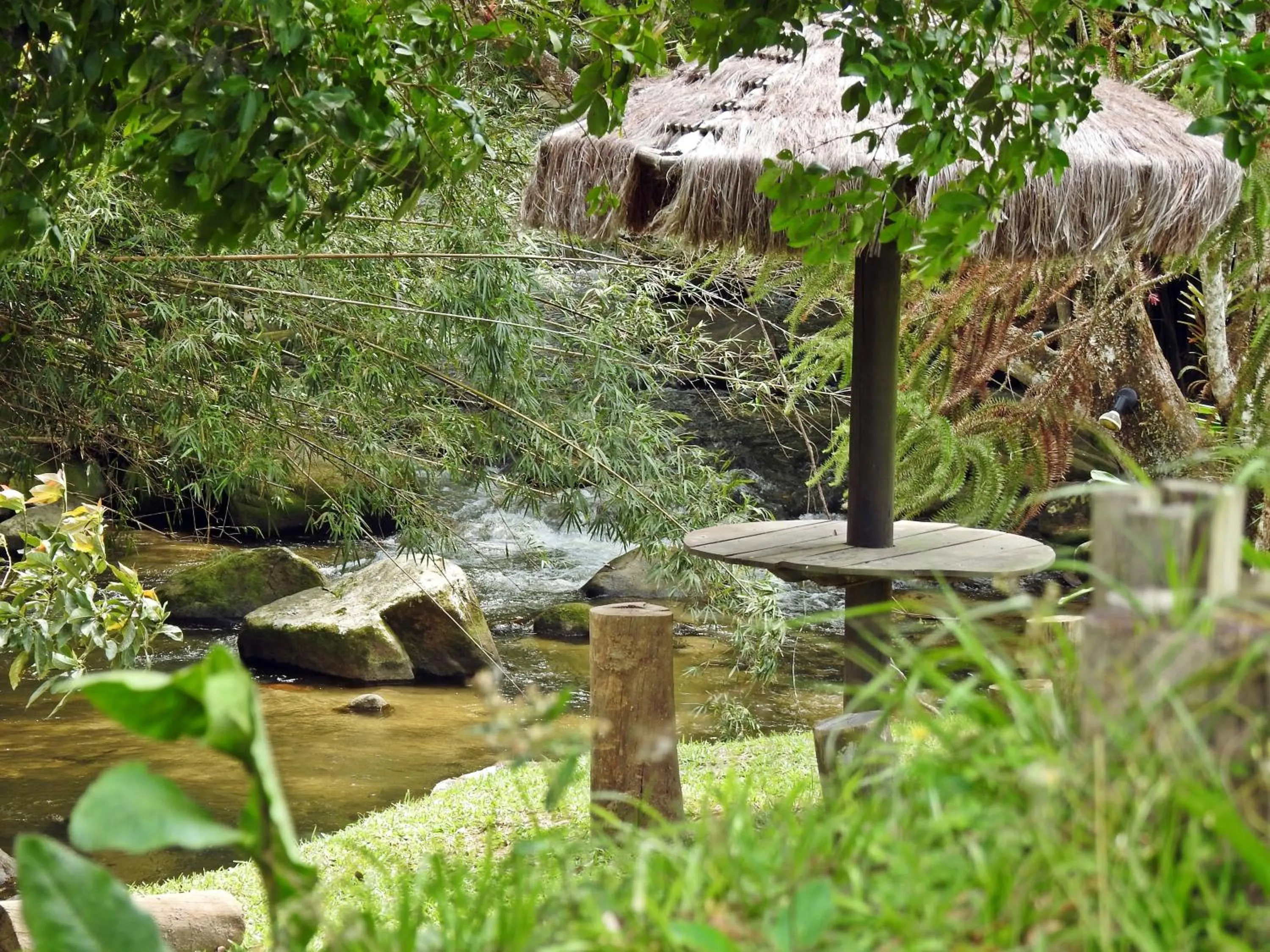 Natural landscape in Hotel Pousada Bambuzal