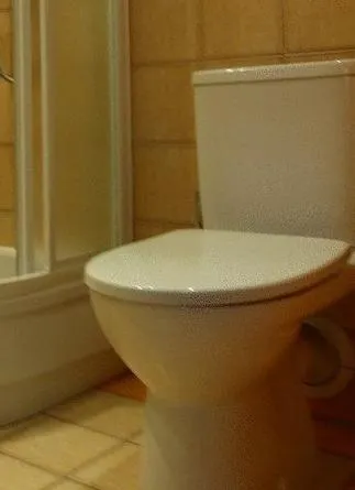 Toilet, Bathroom in Pastoral Lodge at the Sanctuary of the Divine Mercy
