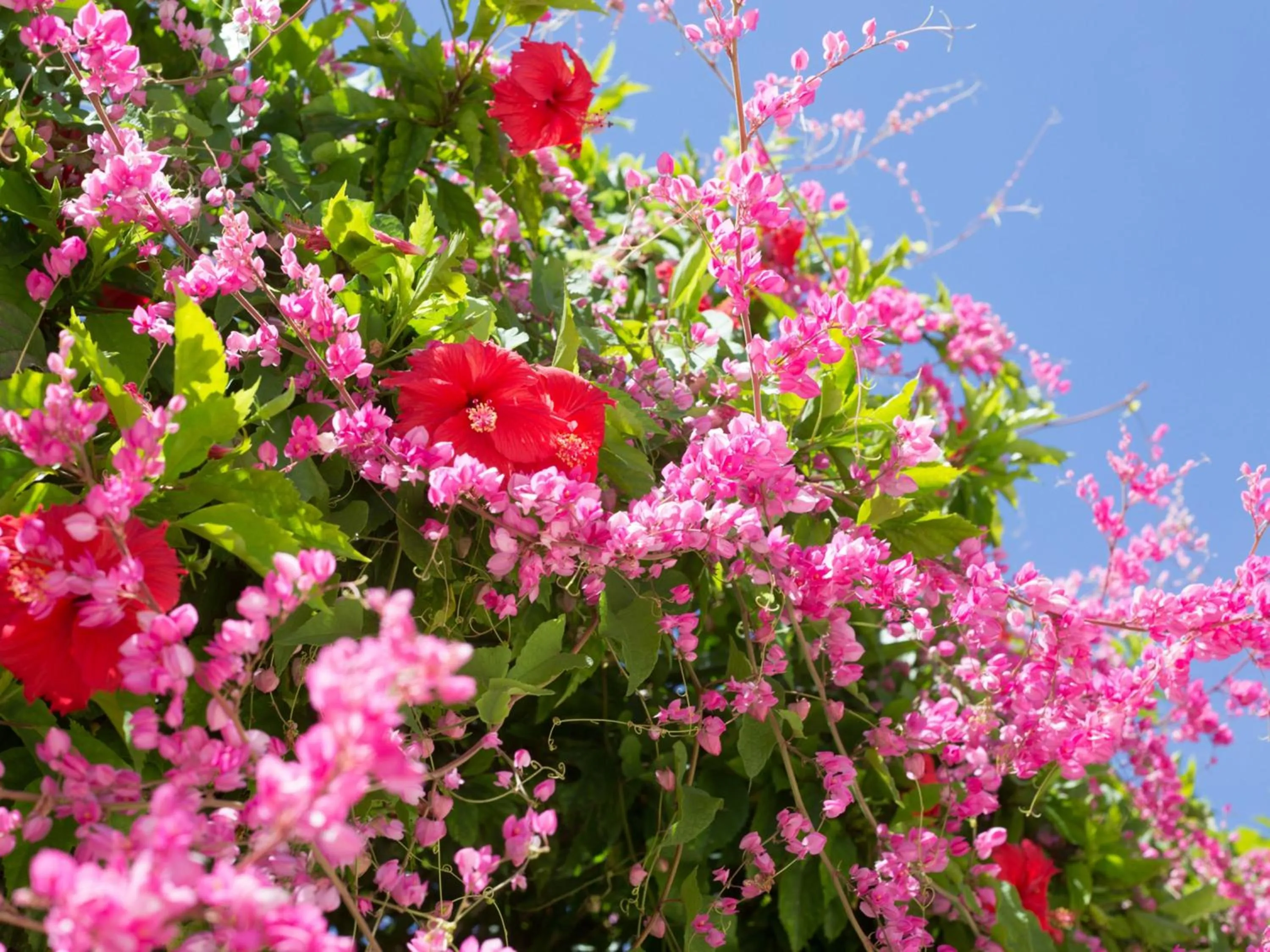 Nearby landmark in Guesthouse Asibina