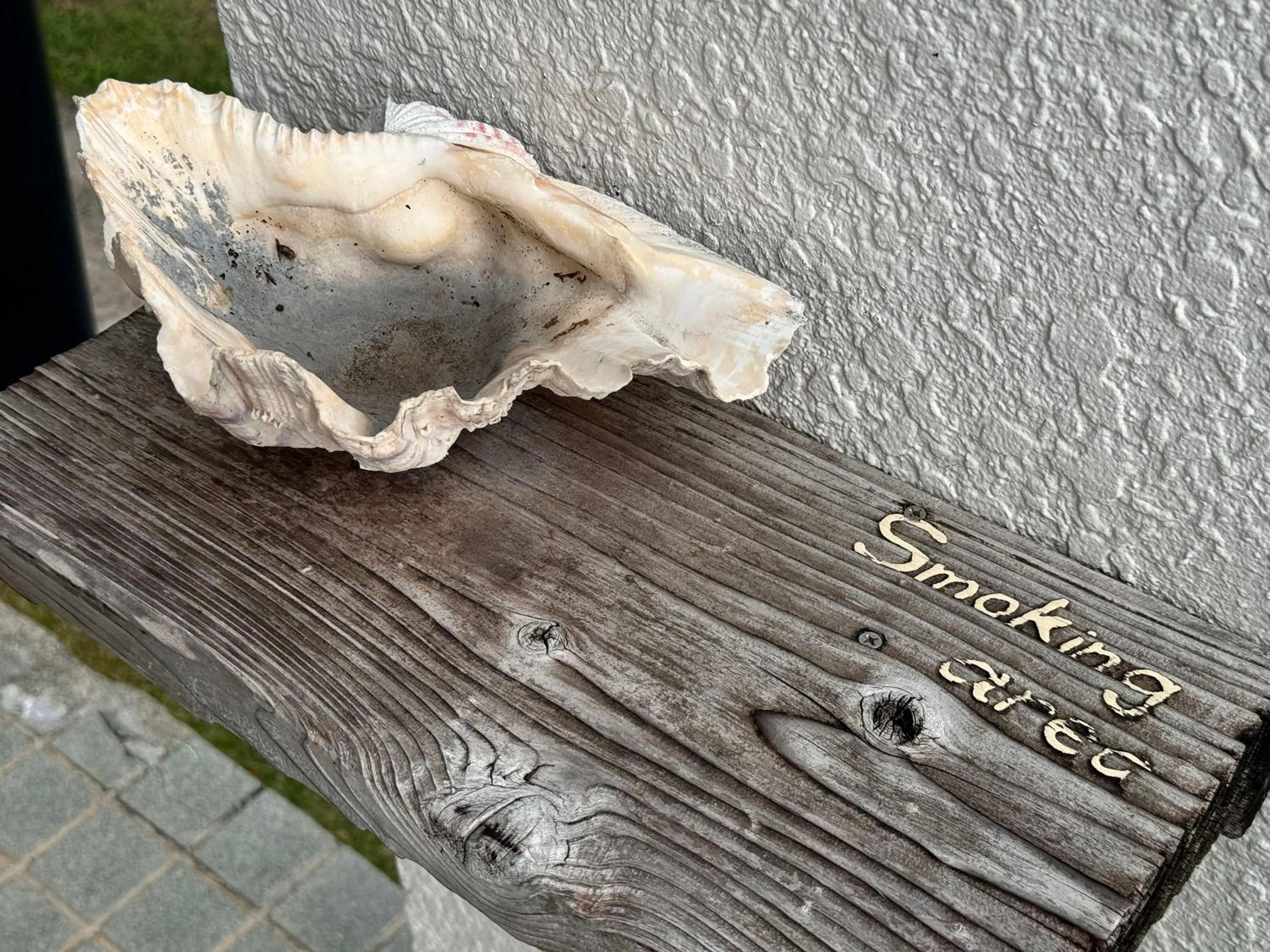 Area and facilities in Guesthouse Asibina