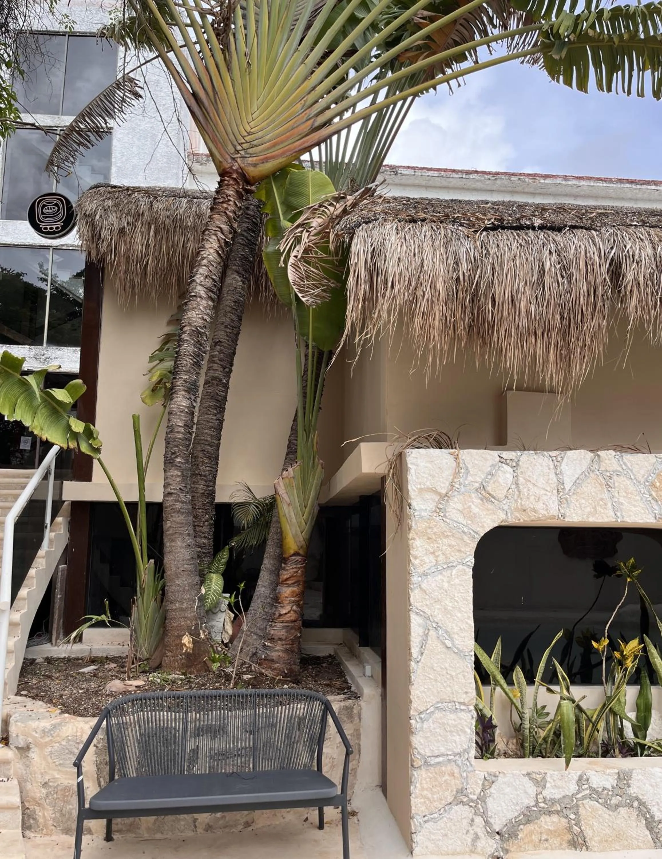 View (from property/room) in Hotel Xbalamqué & Spa Cancún Centro