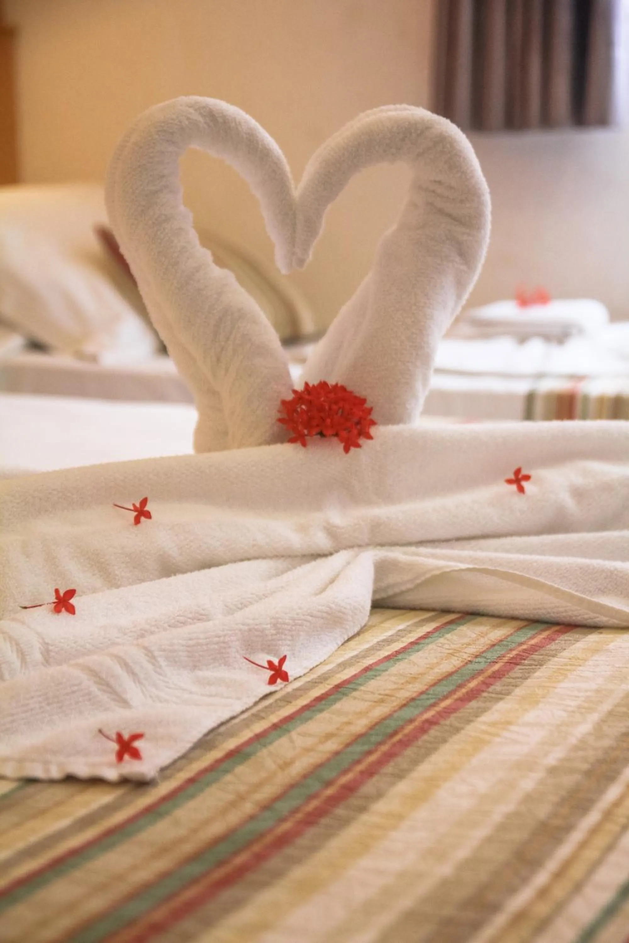 Decorative detail, Bed in Pousada Tatuapara