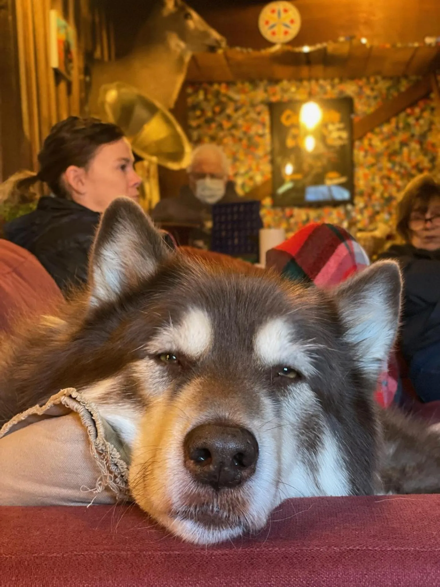 Grunberg Haus Inn & Cabins