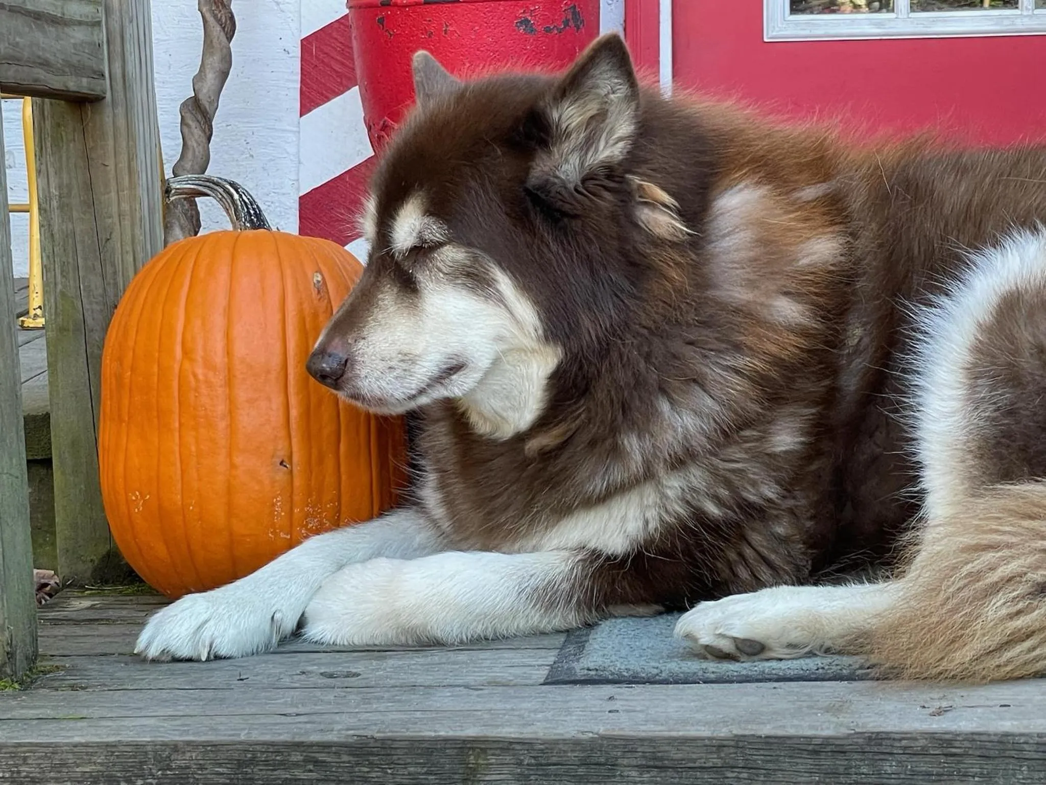Grunberg Haus Inn & Cabins
